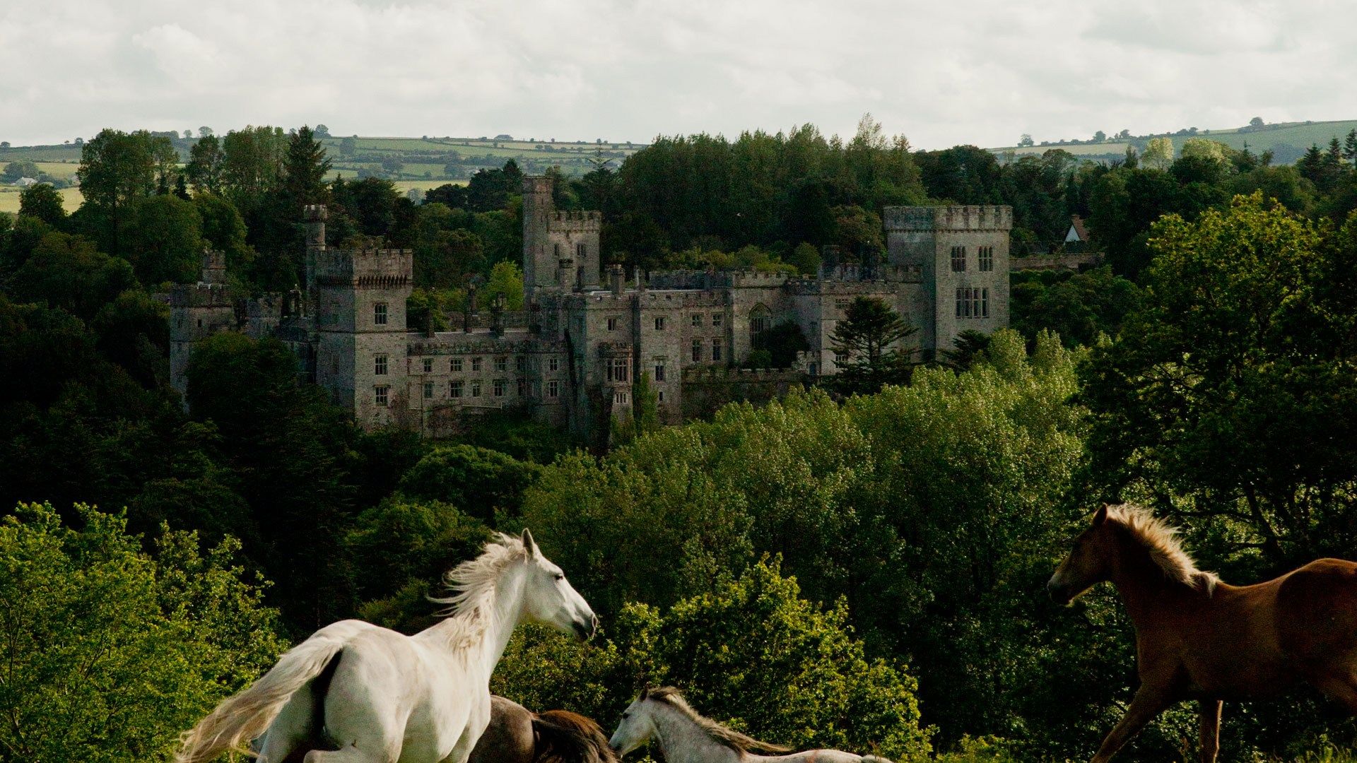 The best castles in Ireland