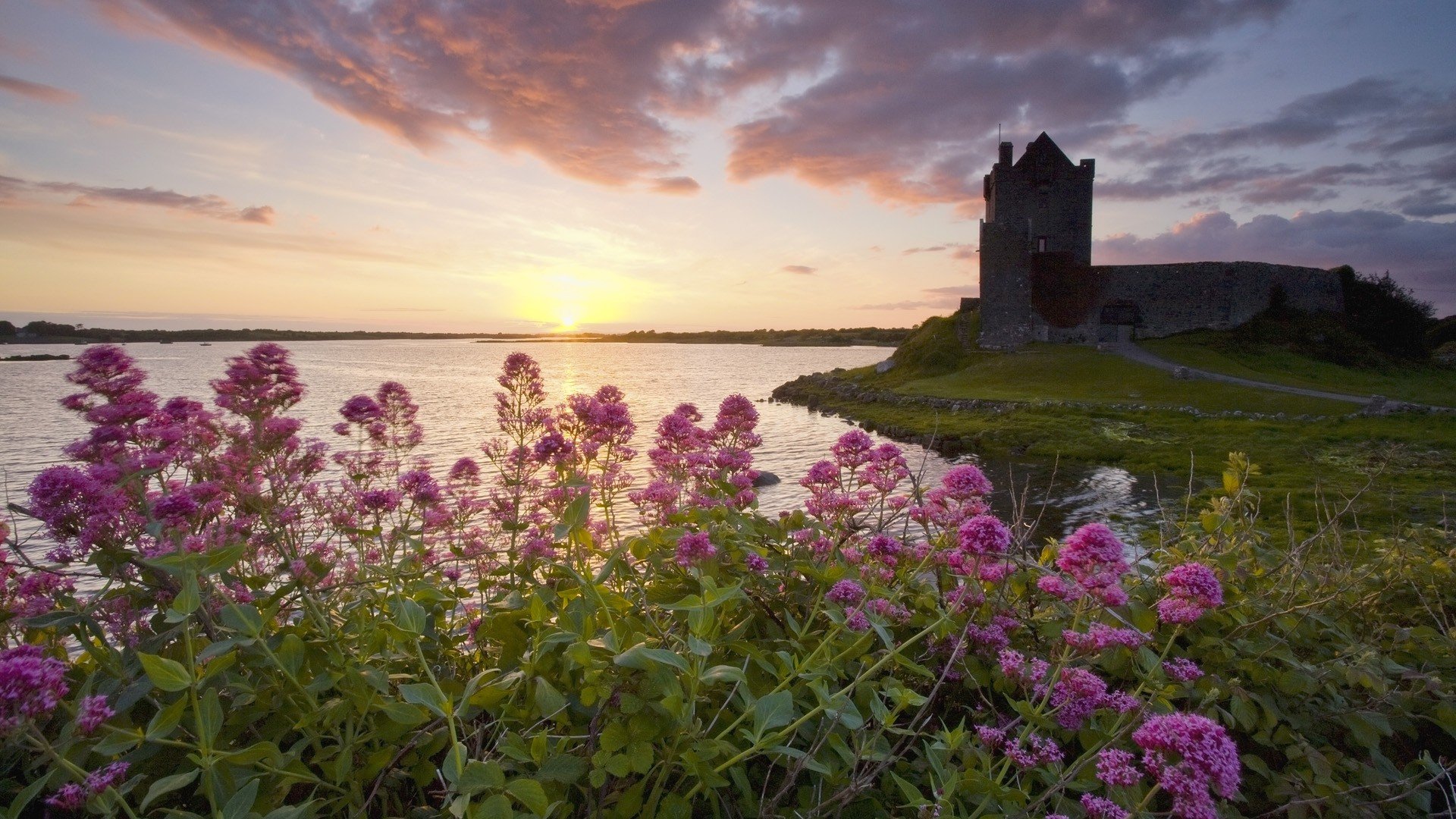 sunset, Castles, Flowers, Ireland, Lakes, Castle Wallpaper HD / Desktop and Mobile Background