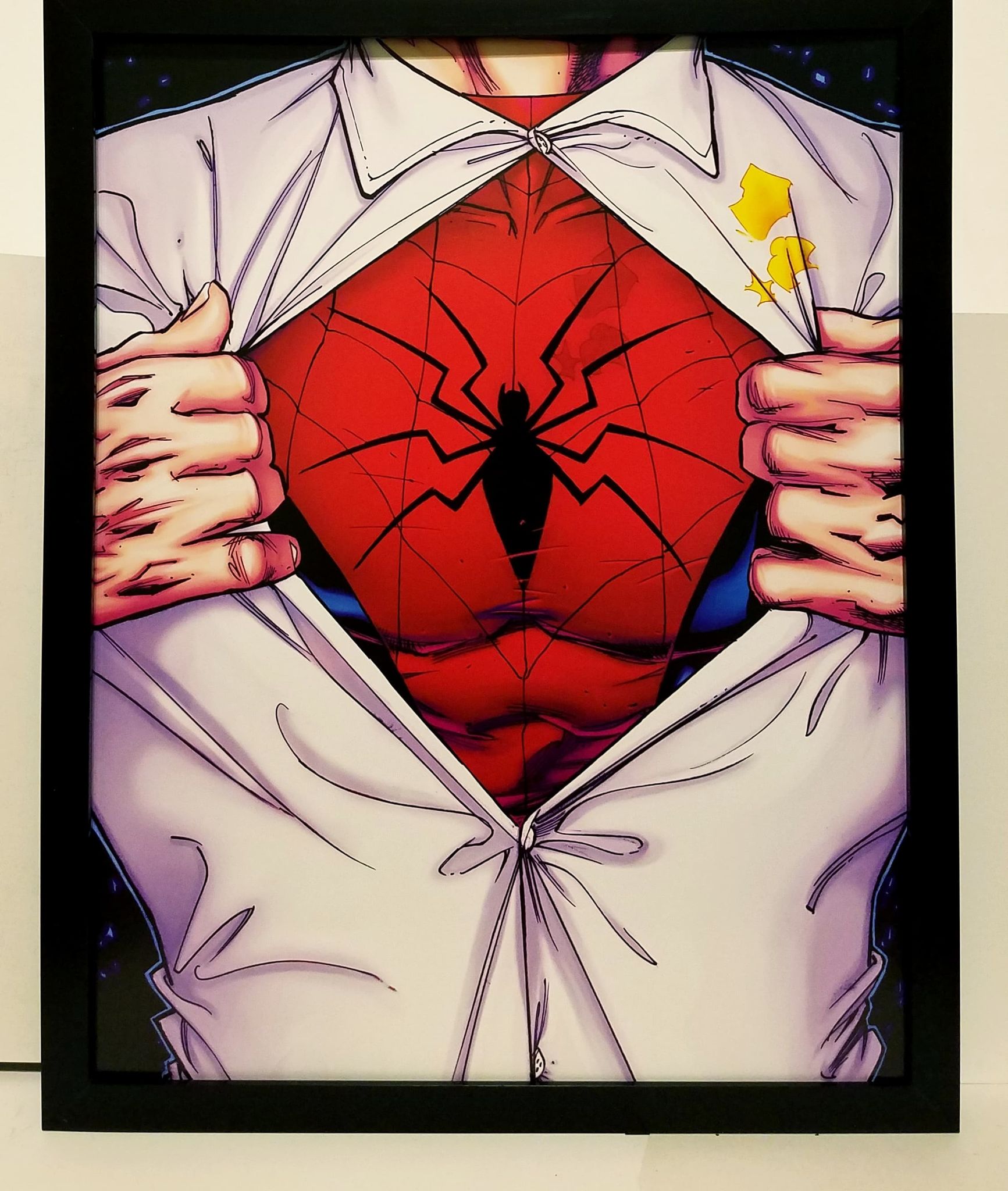 Spectacular Spider Man By Adam Kubert 11x14 FRAMED Marvel Comics Art Print Poster