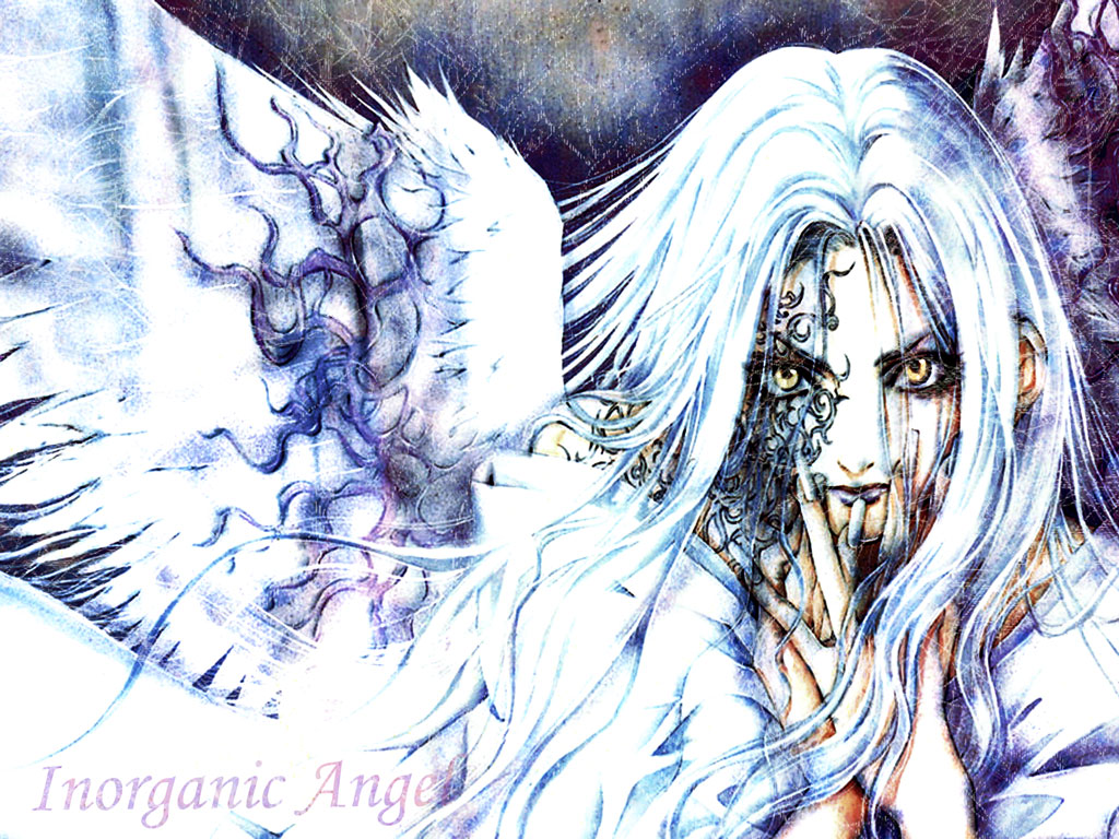 Manga Introduction: Angel Sanctuary