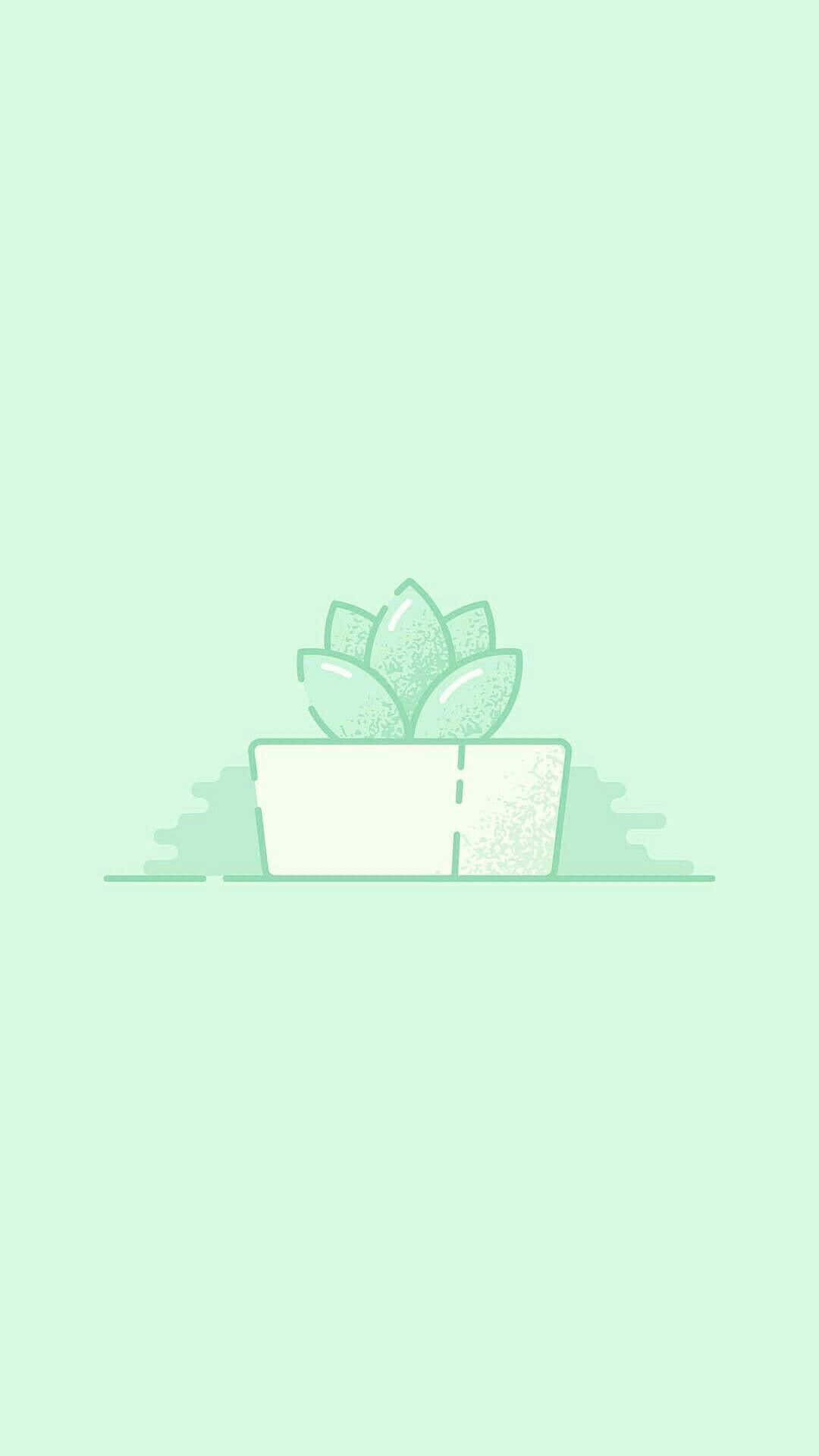 Download Cute Mint Green Aesthetic Plant Wallpaper