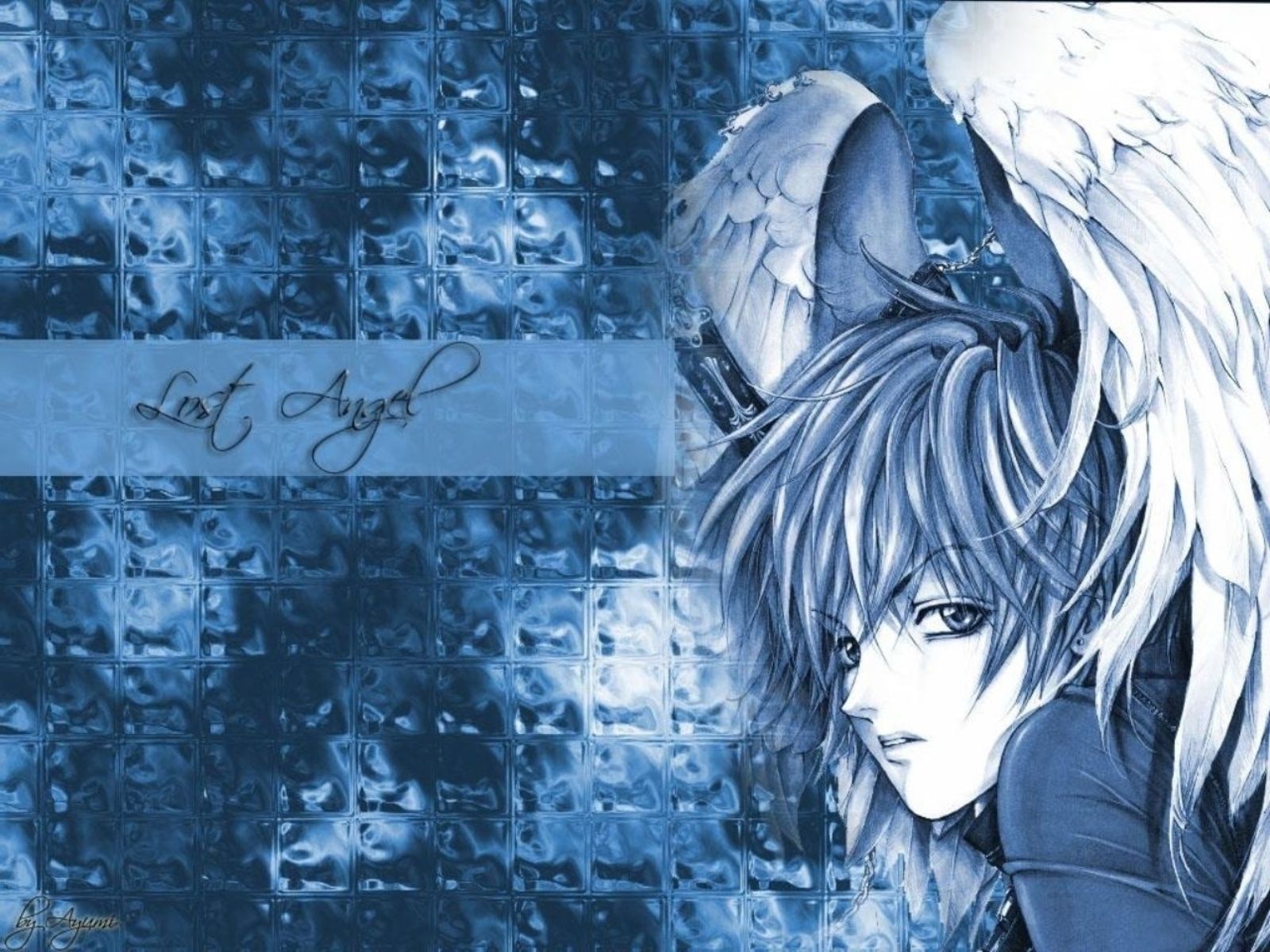 Photos Angel Sanctuary Anime