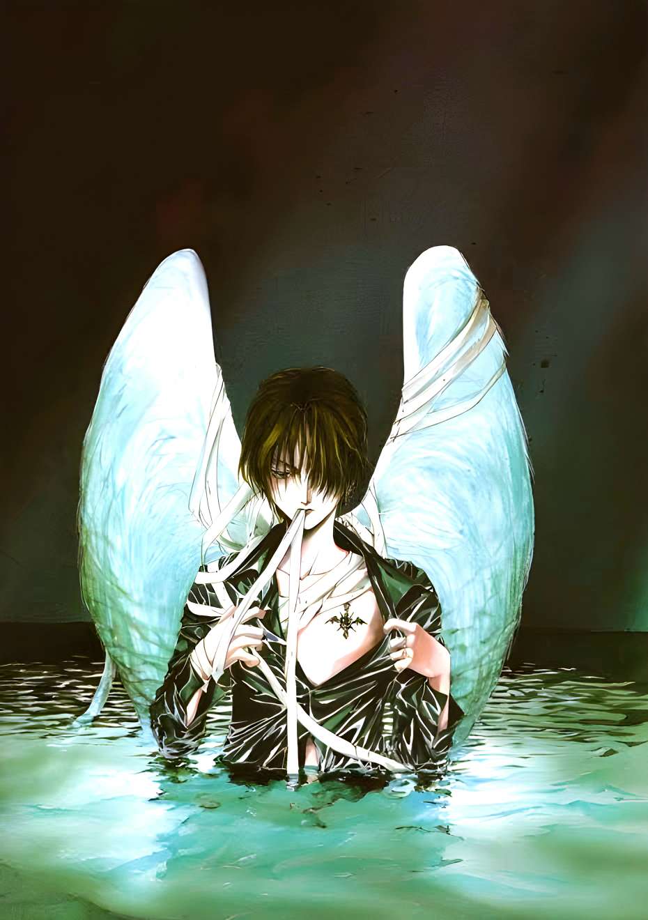 Art from [Angel Sanctuary]