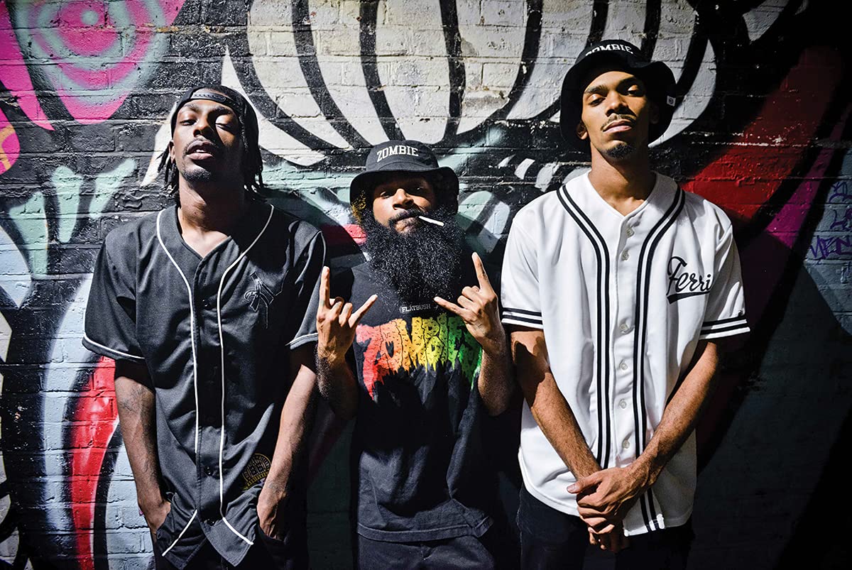 CINEMAFLIX Flatbush Zombies Hop Group POSTER 24x36 Inches: Posters & Prints