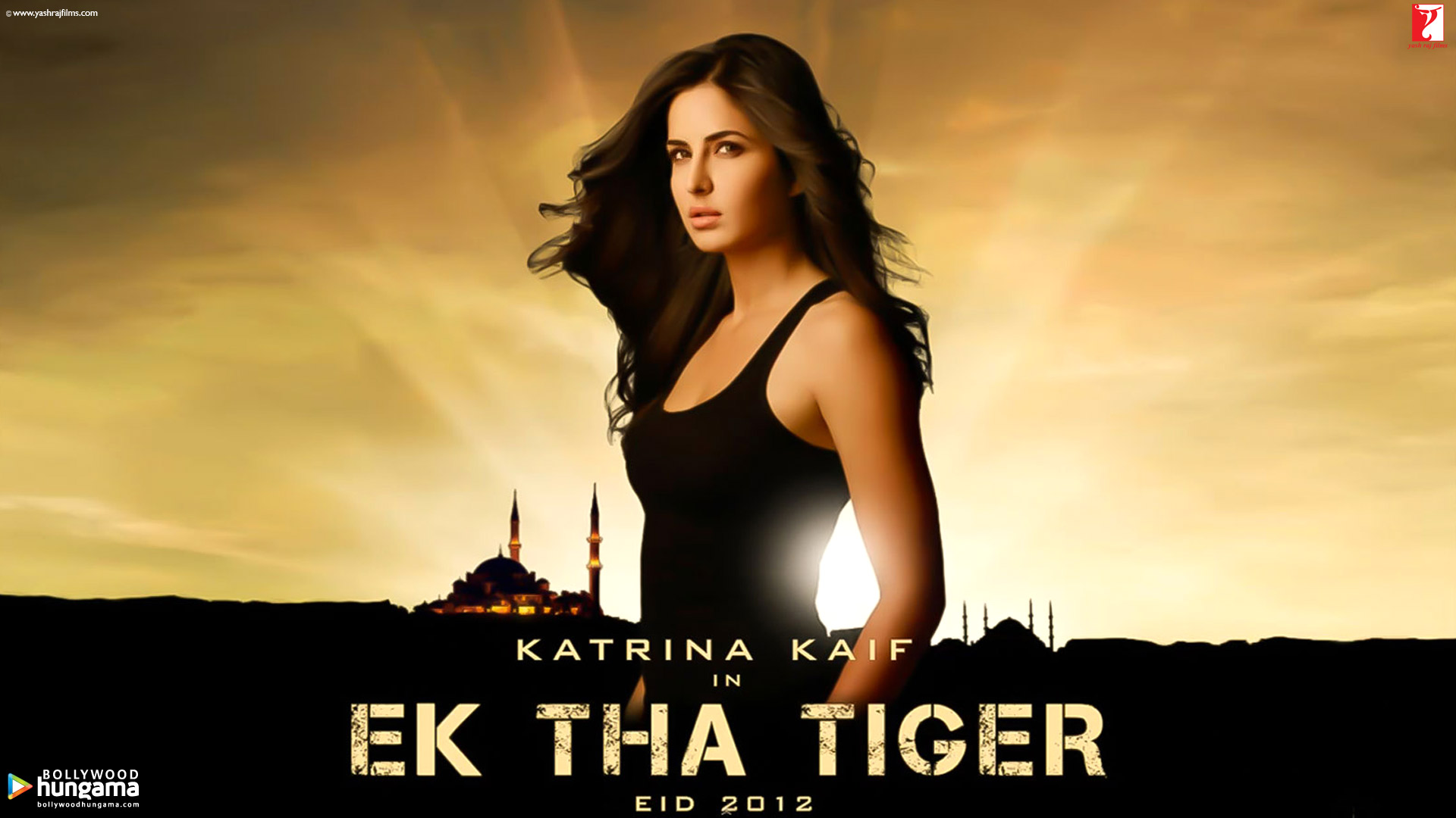 Ek Tha Tiger 2012 Wallpaper. Ek Tha Tiger 2012 HD Image. Photo Ek Tha Tiger 3