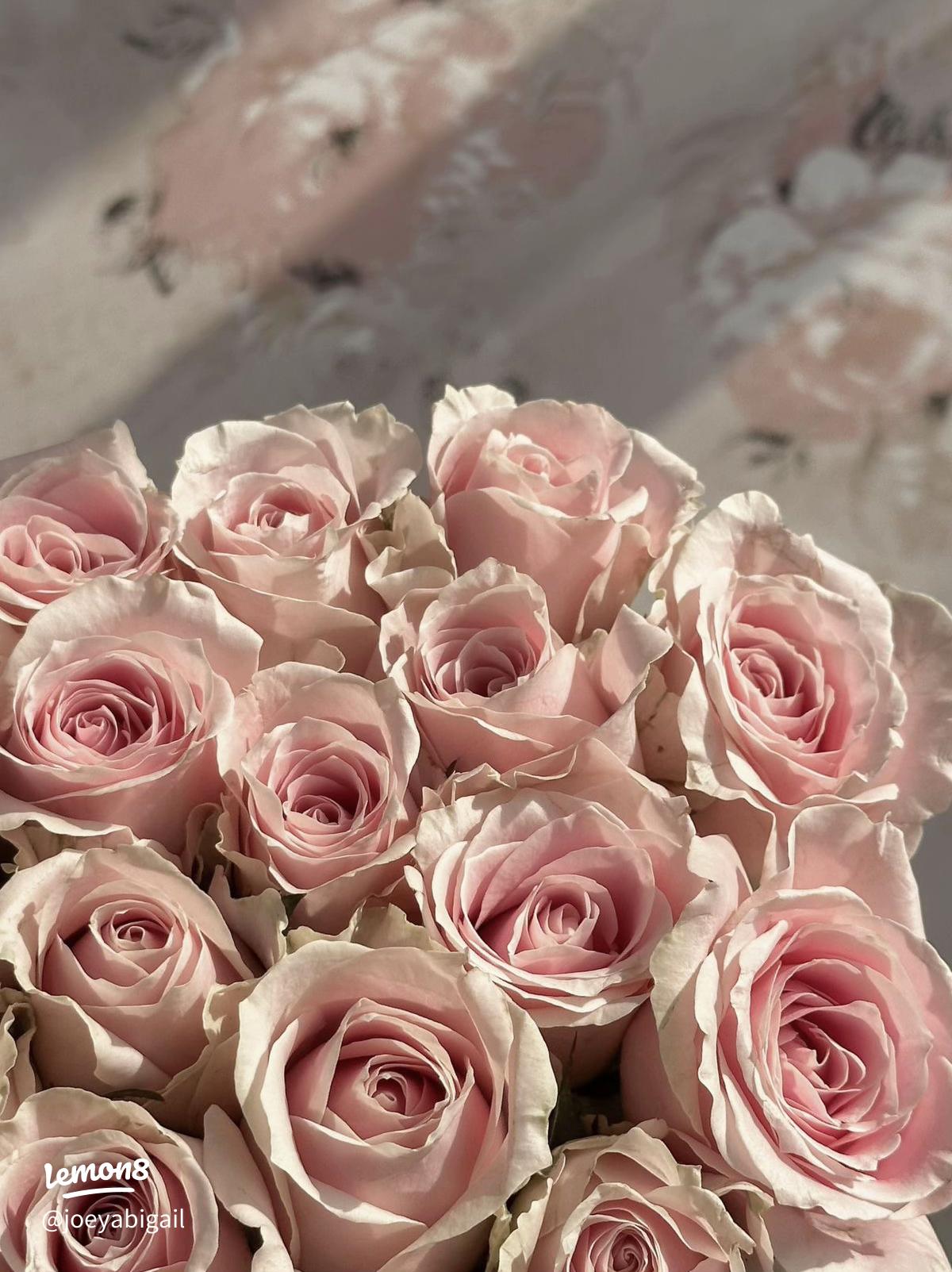 Explore Stunning Coquette Wall Art Ideas