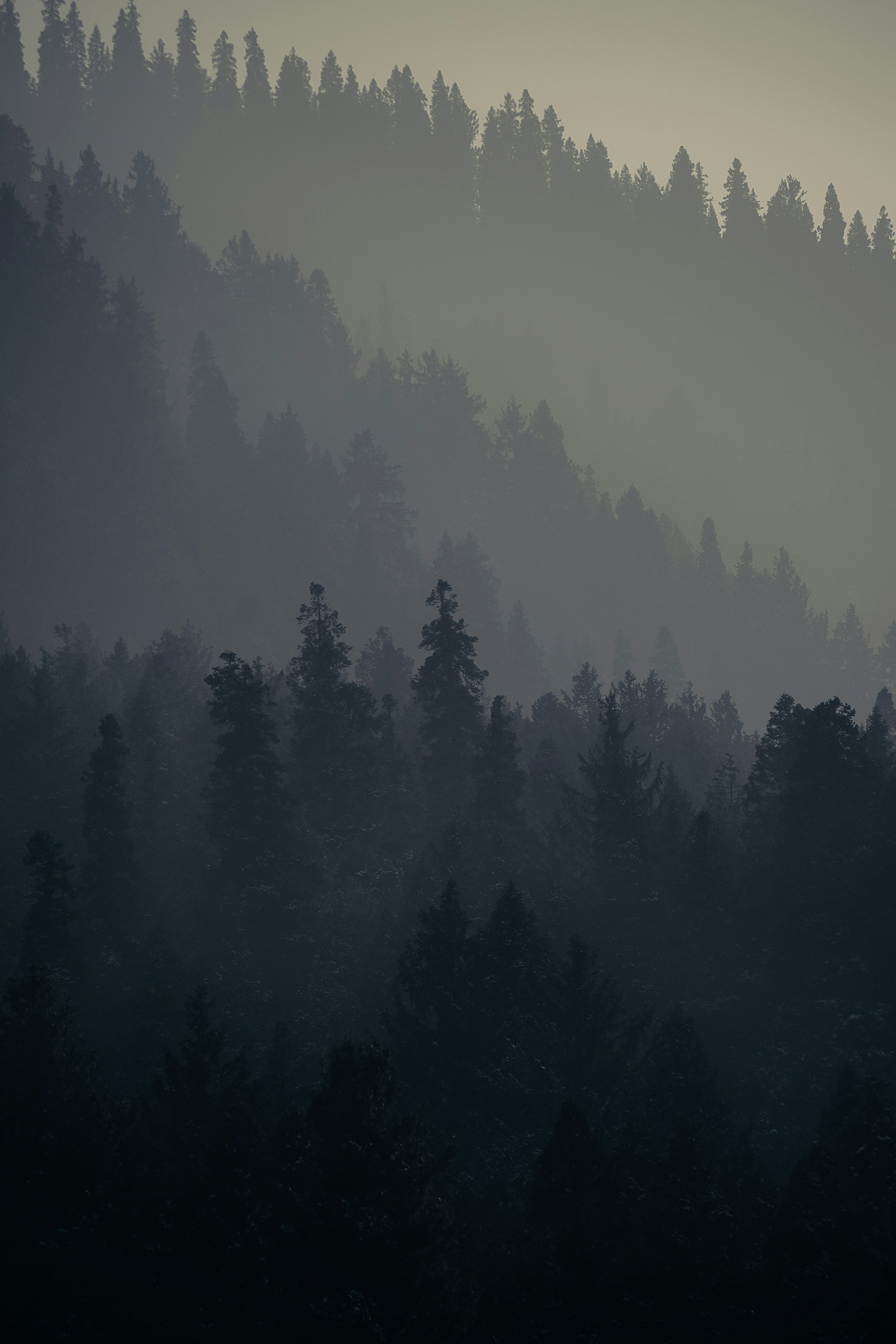 Minimalist iPhone Picture. Download Free Image