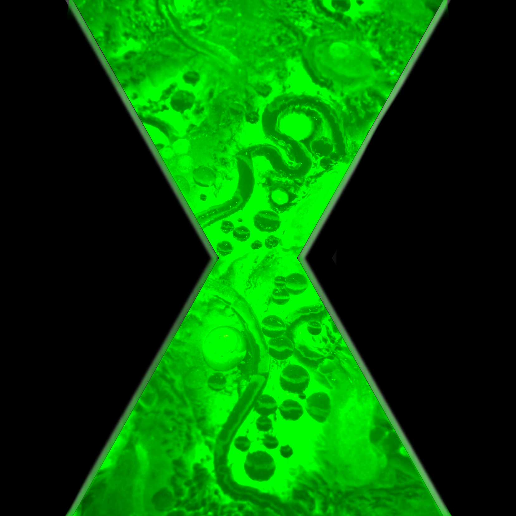 I made this wallpaper with the omnitrix logo for square smartwatches. the green background is by artist Zack Smith