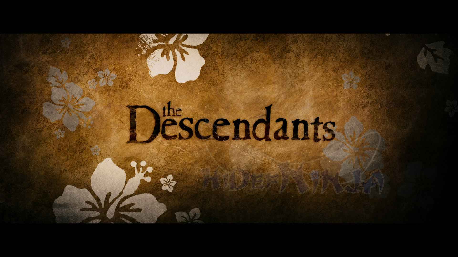 The Descendants Blu Ray Review. Hi Def Ninja Ray SteelBooks