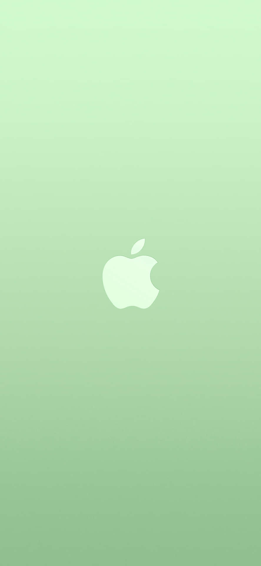 Download iPhone 11 Apple Logo Green Background Wallpaper