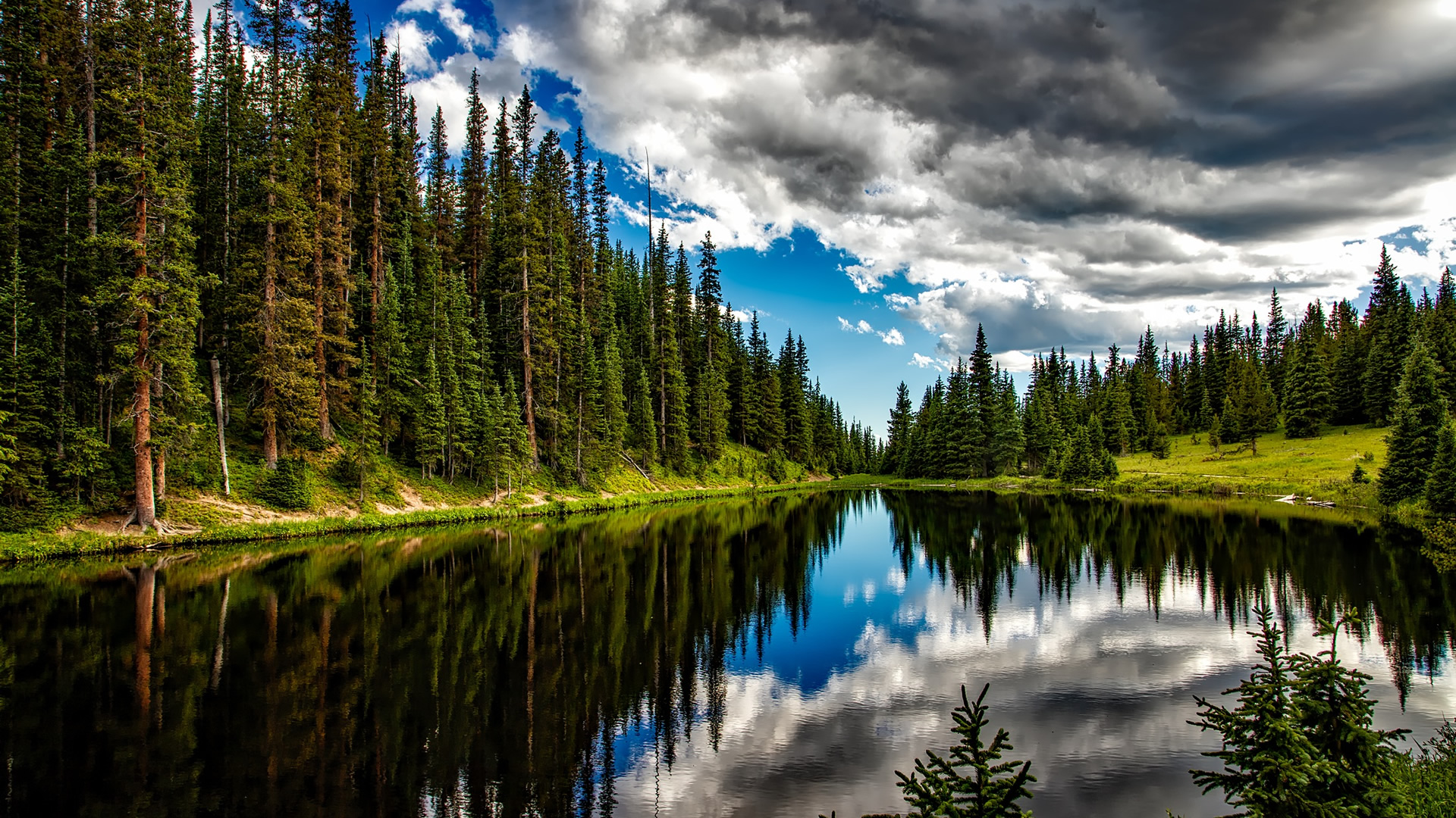 Forest Lake HD Desktop Wallpaper 25668