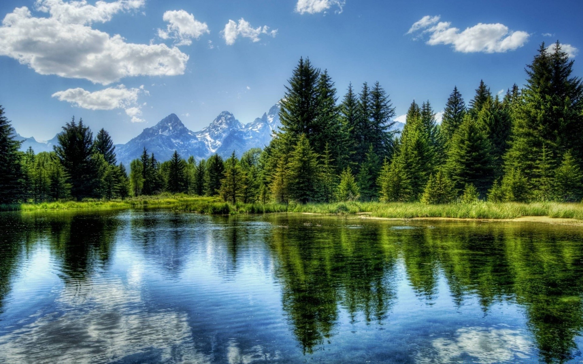 Reflection of the forest and mountains in the surface of the lake for your phone