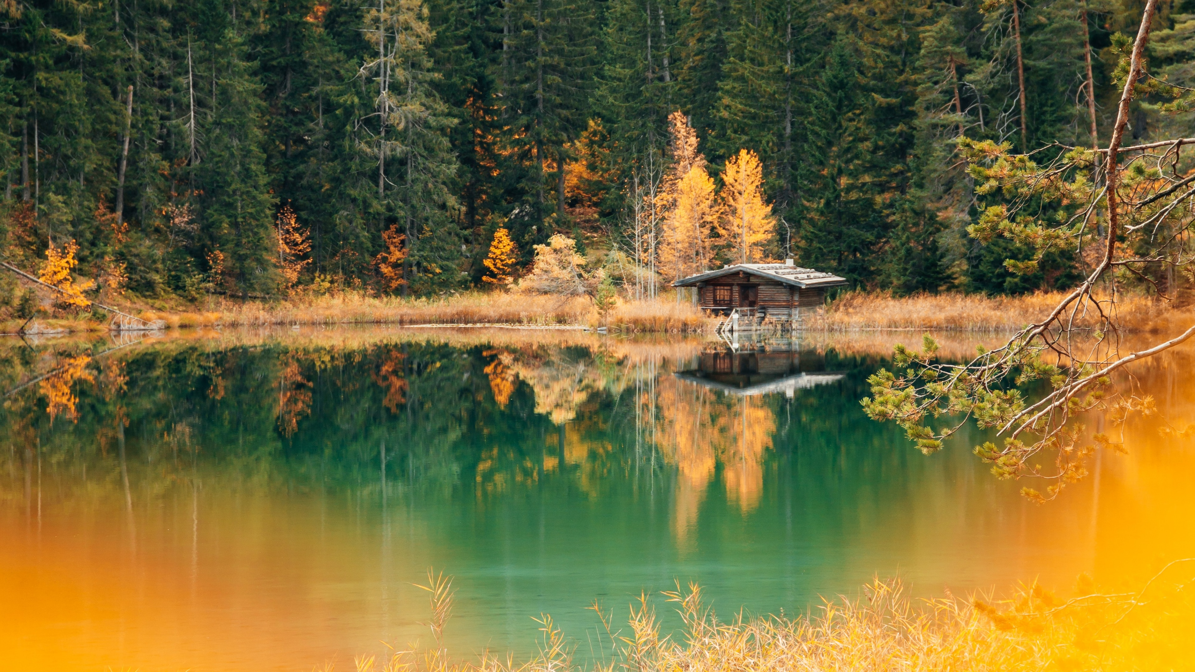 Lake house Wallpaper 4K, Forest, Green Trees, Alpine trees