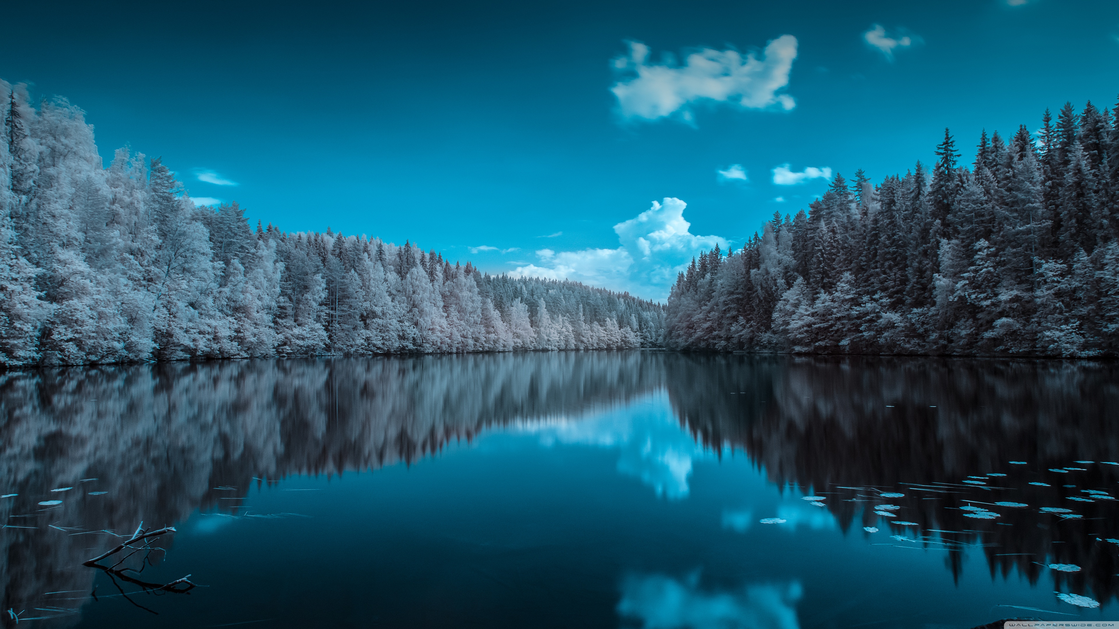 Finland Forest Lake 4K UHD Wallpaper for UltraHD Desktop and TV, Widescreen and UltraWide Display, Dual Monitor, Smartphone and Tablet Devices
