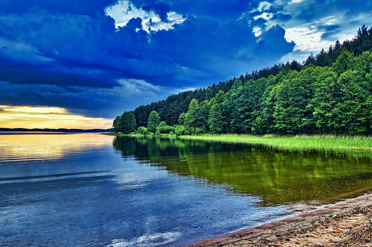 Forest Lake Wilderness