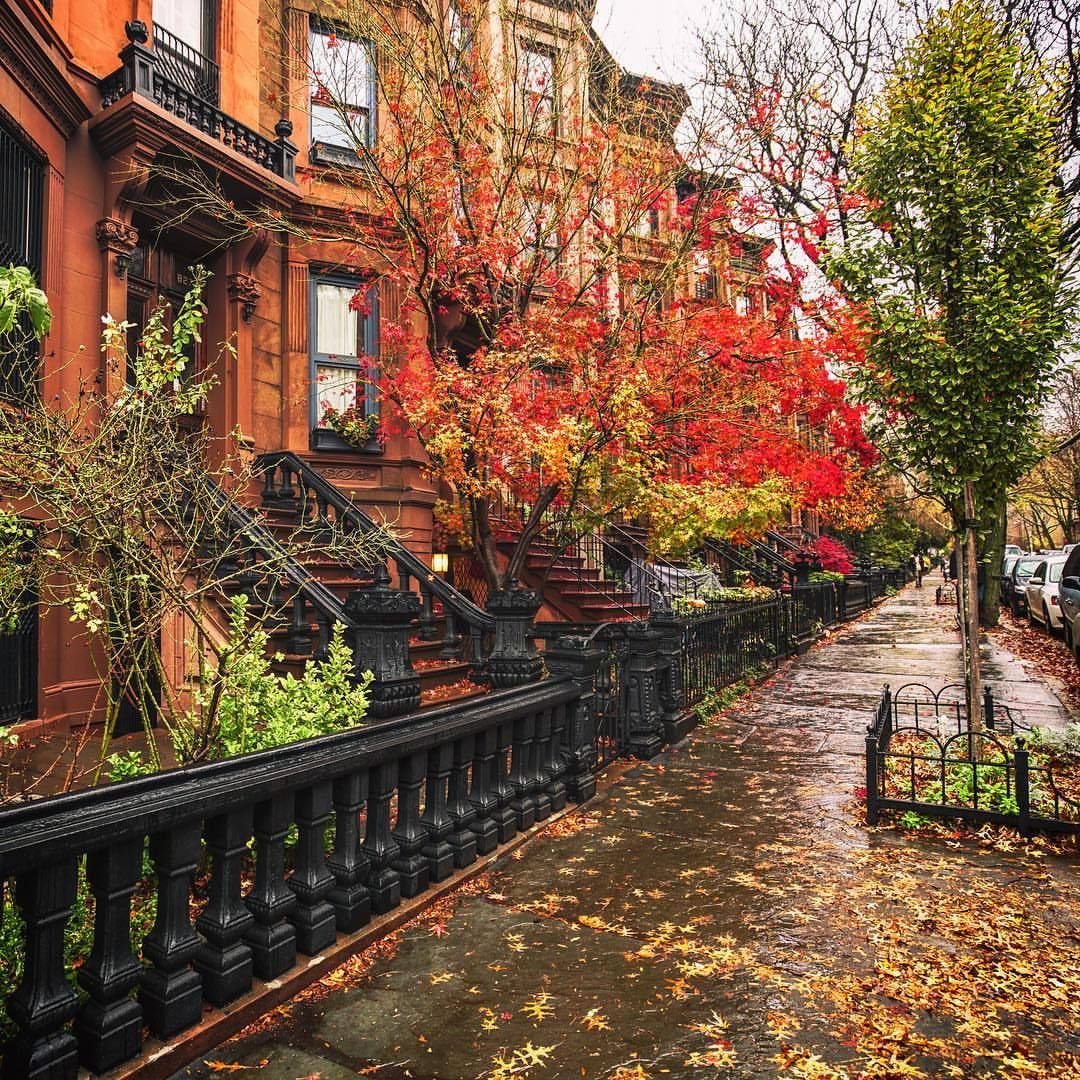 Best Autumn in New York ideas. autumn in new york, new york city, new york