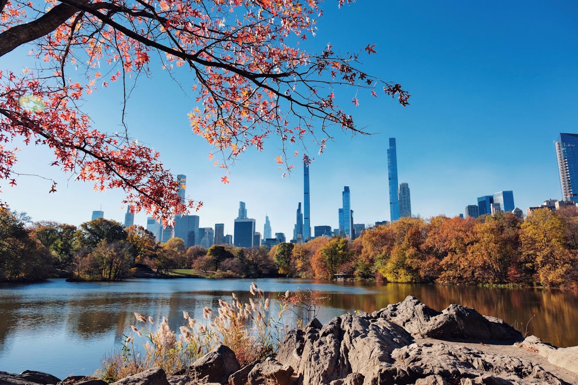 Autumn Skyline of New York City from Central Park · Free