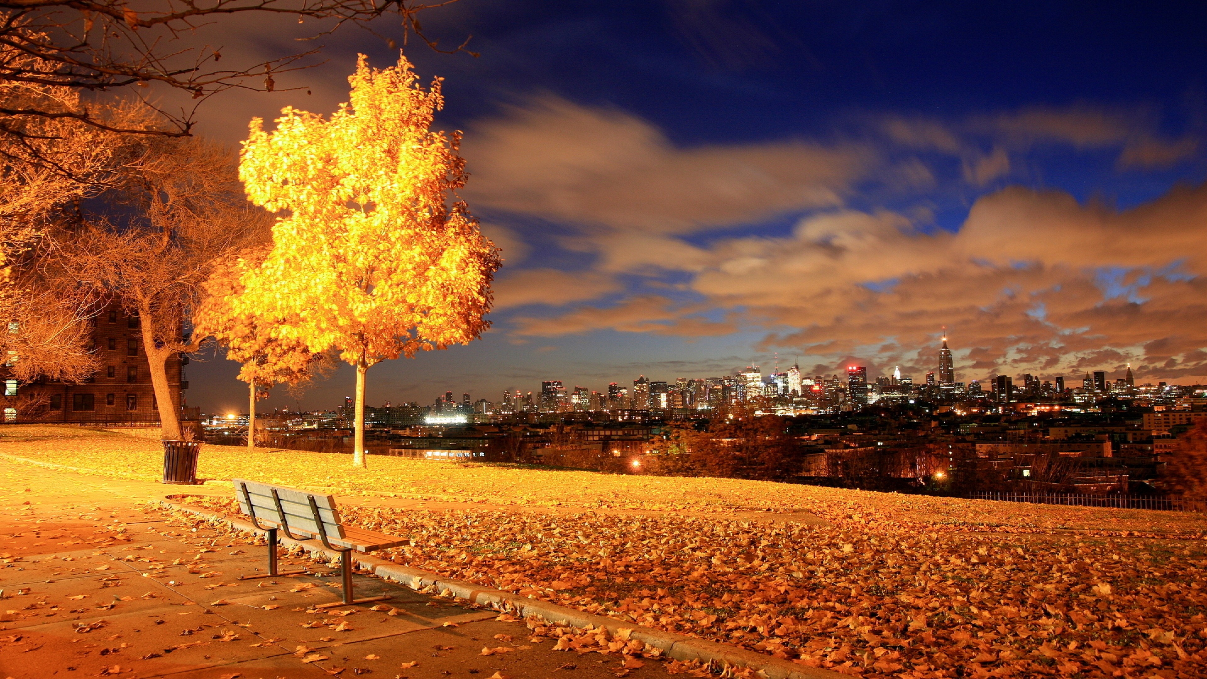 Wallpaper New York central park autumn night from 3217864 image and screensavers