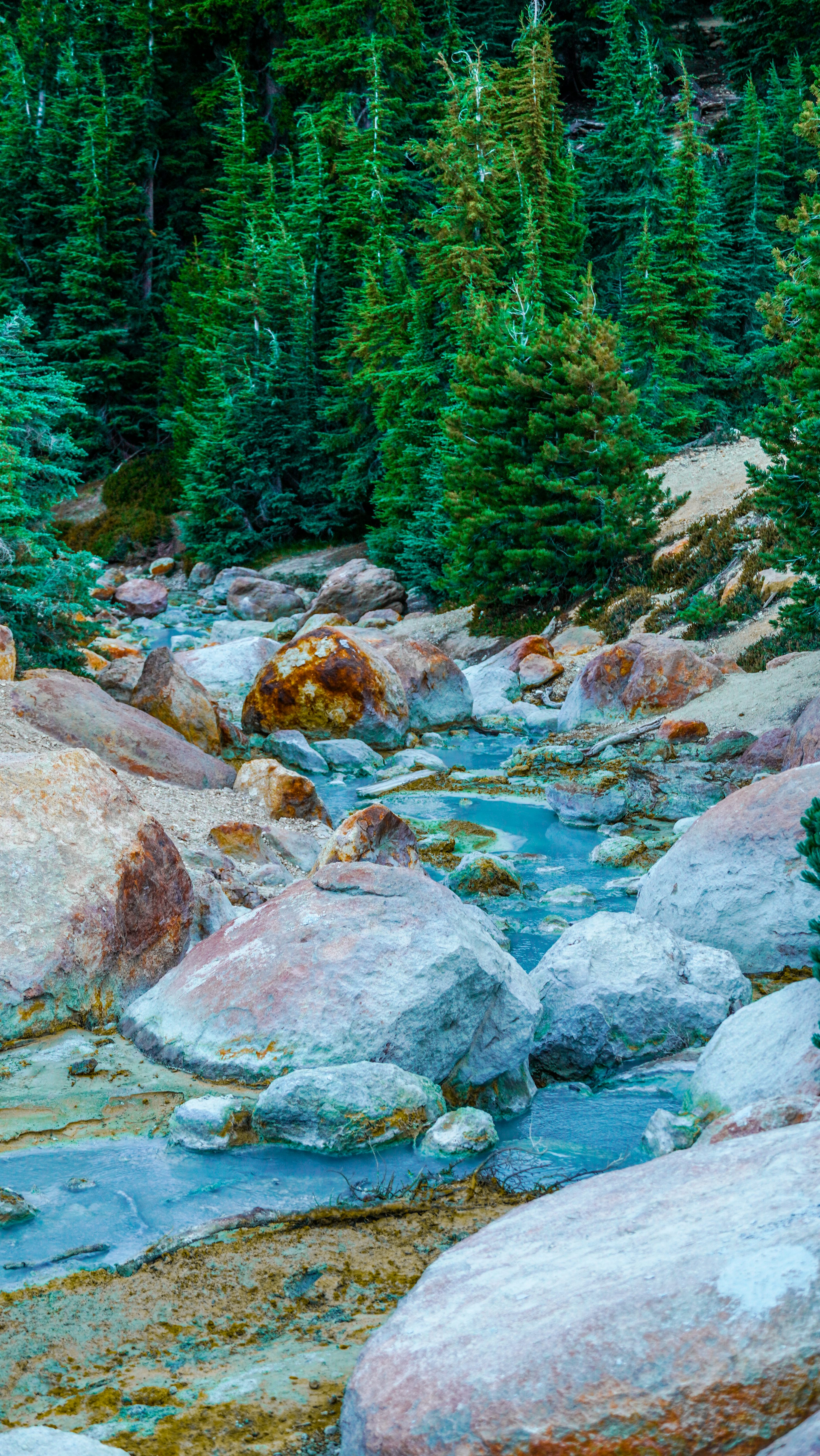 A stream running through a forest filled with lots of rocks photo