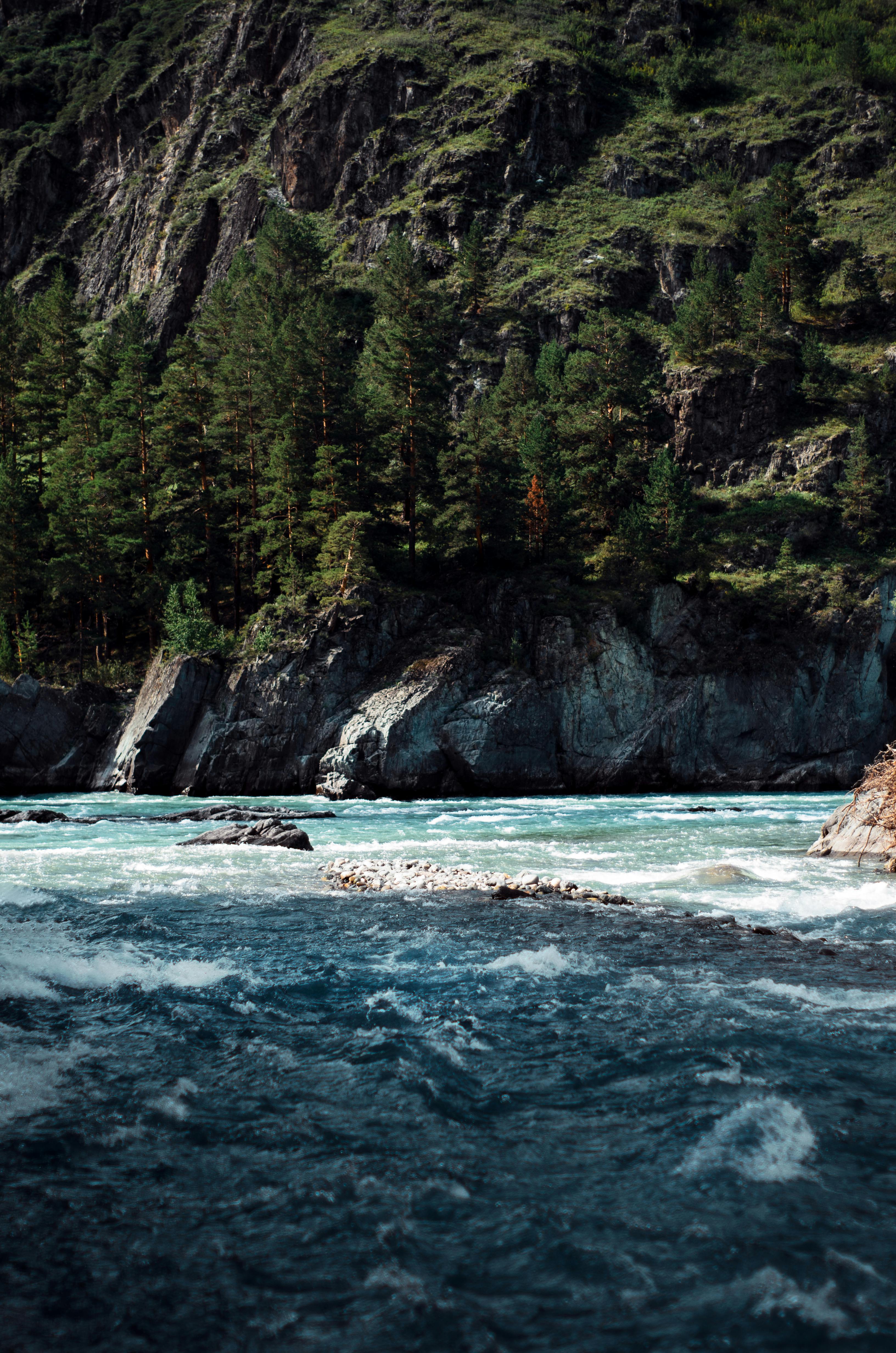Landscape with a Mountain River · Free
