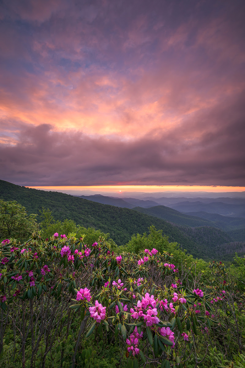 Craggy Gardens, Blue Ridge Parkway Milepost 364.6