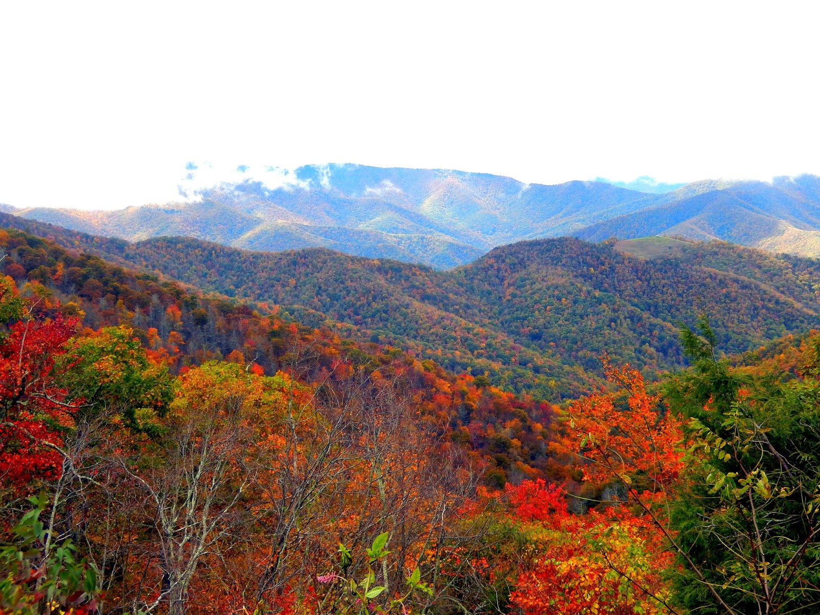 Hiking with a Fat Bald White Guy: Black Mountain Range- Craggy Gardens
