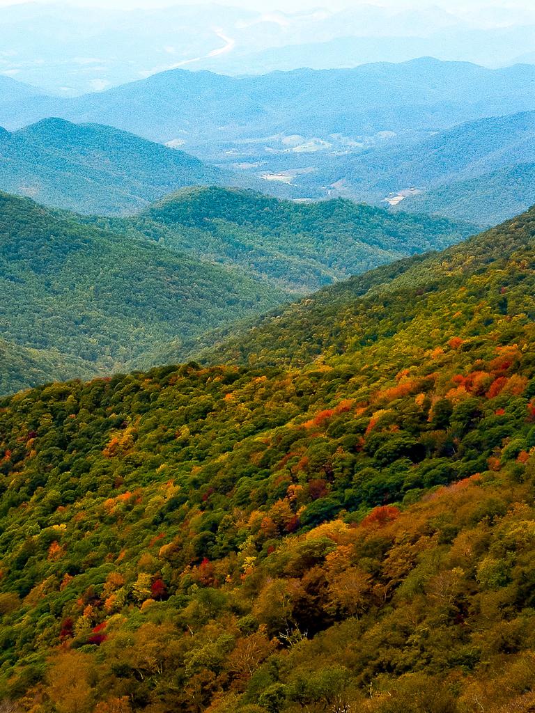Craggy Gardens Hike