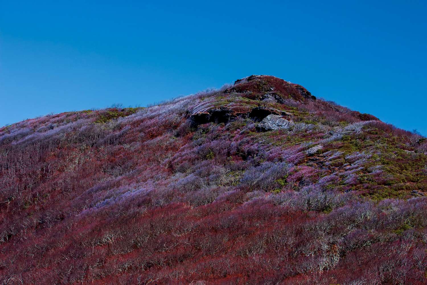 Craggy Dome, North Carolina, Photo, Diagrams & Topos