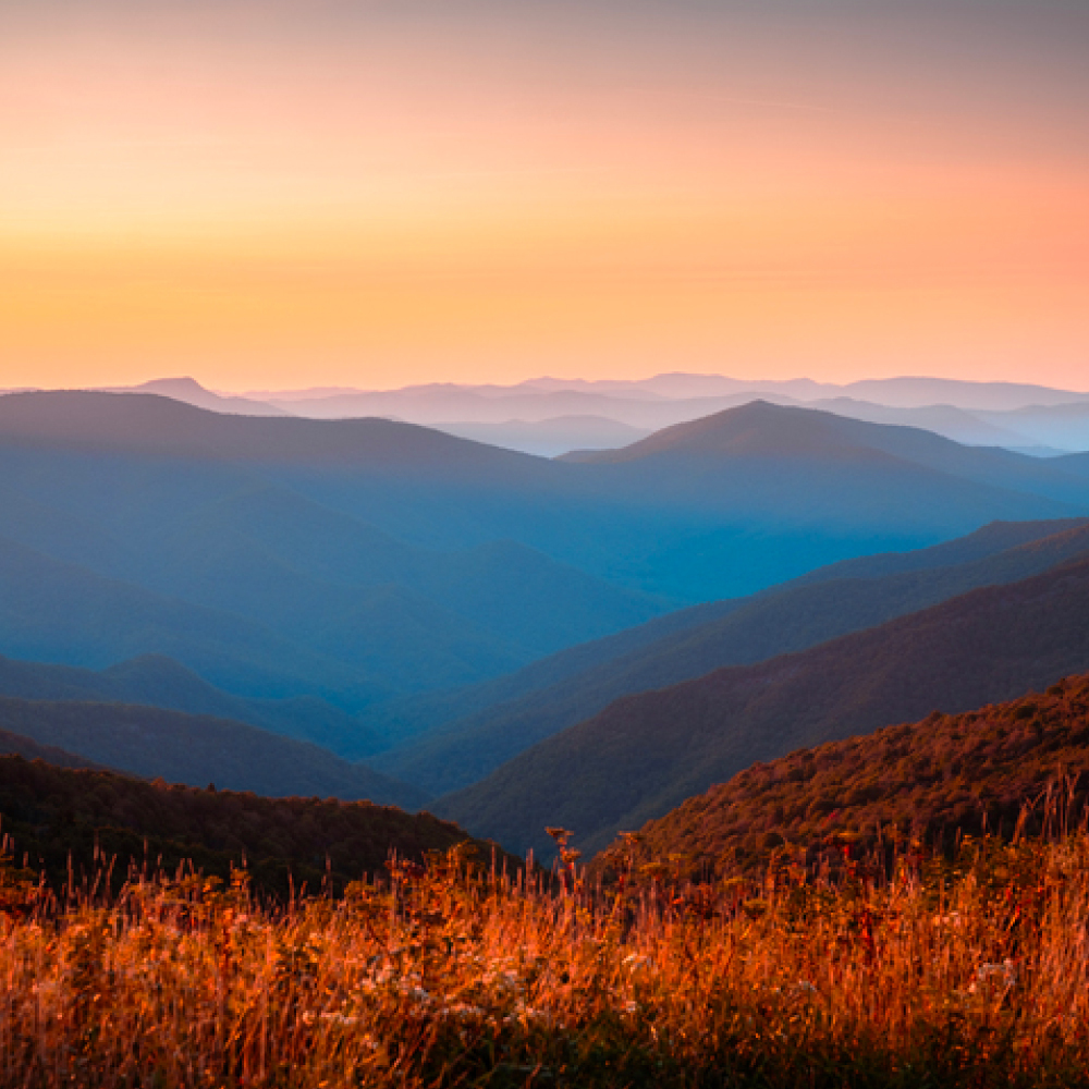 Clone of Blue Ridge Hikes Near Asheville