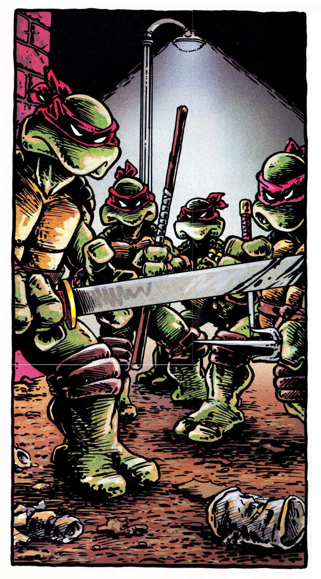 Download Teenage Mutant Ninja Turtles Comic Book With A Menacing Glare Wallpaper