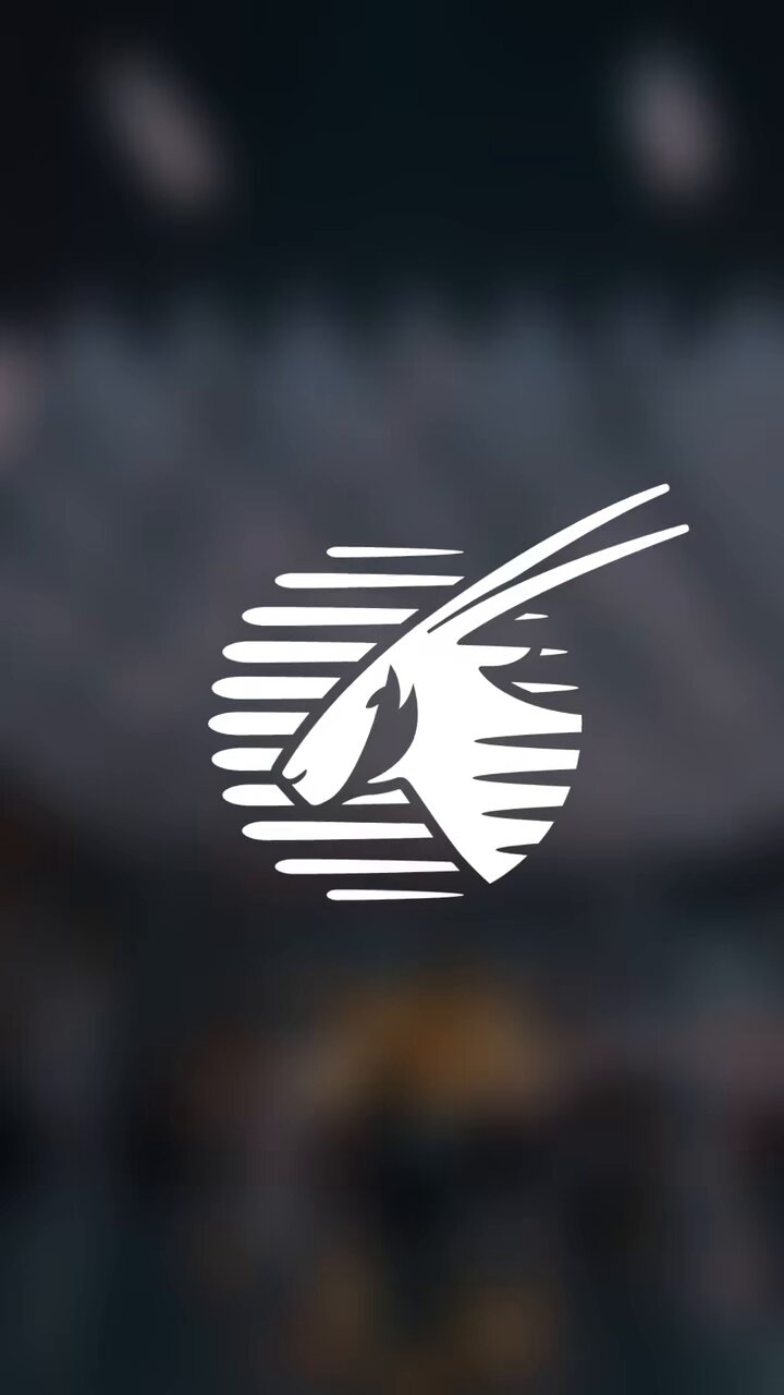video Tweet