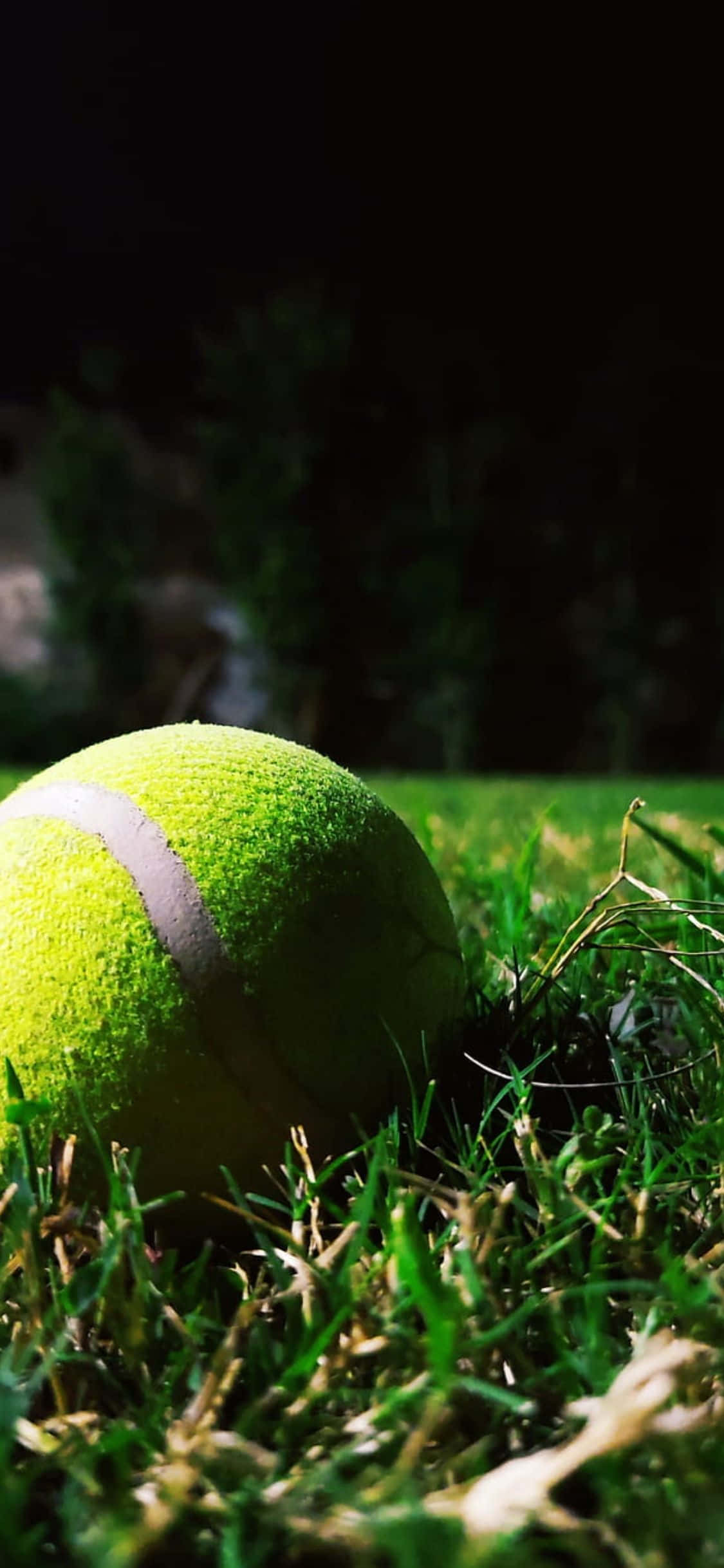 Download iPhone Xs Tennis Background