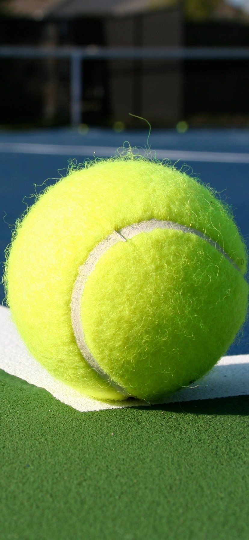 One Green Tennis, Ball 1080x1920 IPhone 8 7 6 6S Plus Wallpaper, Background, Picture, Image