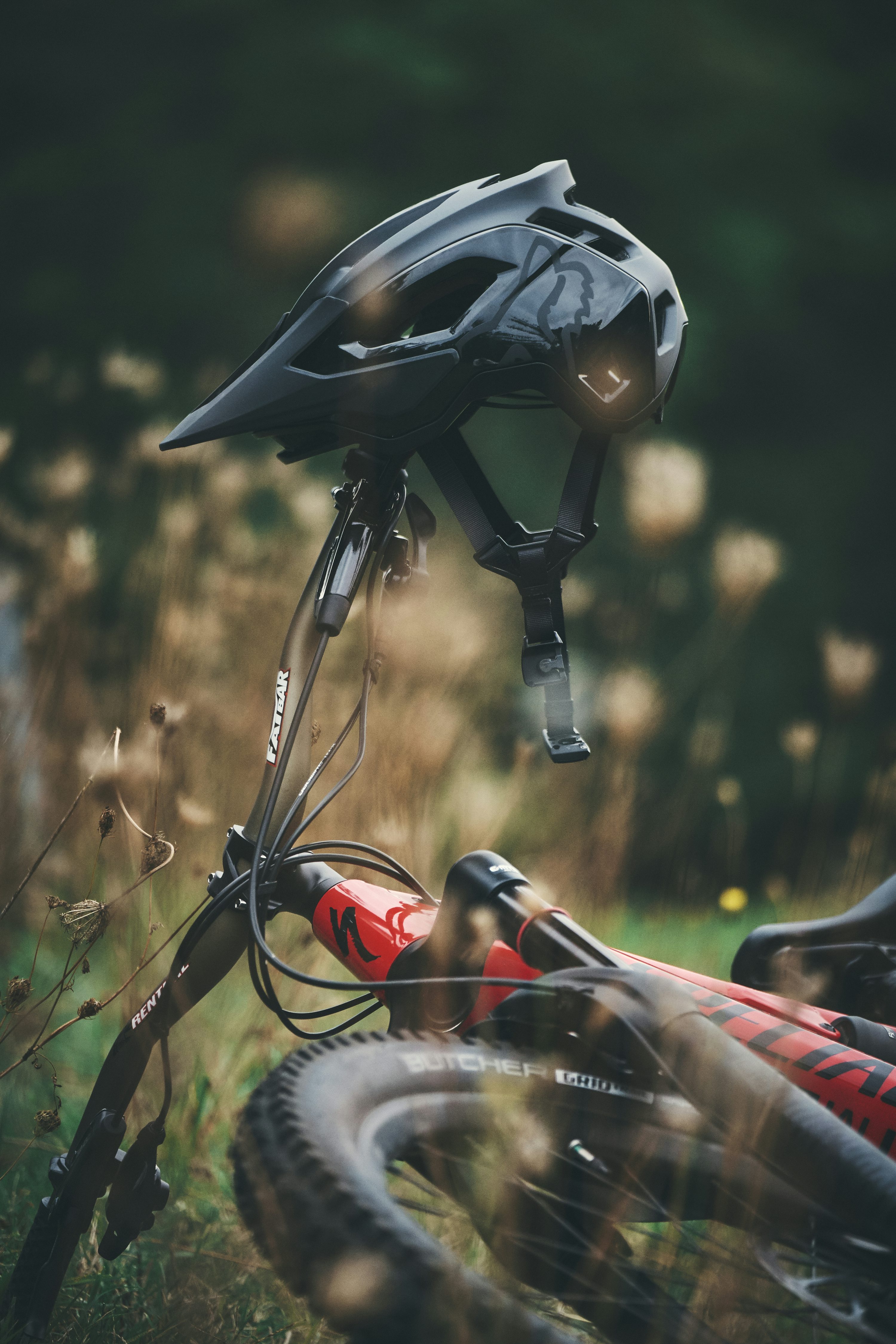 Specialized Picture. Download Free Image