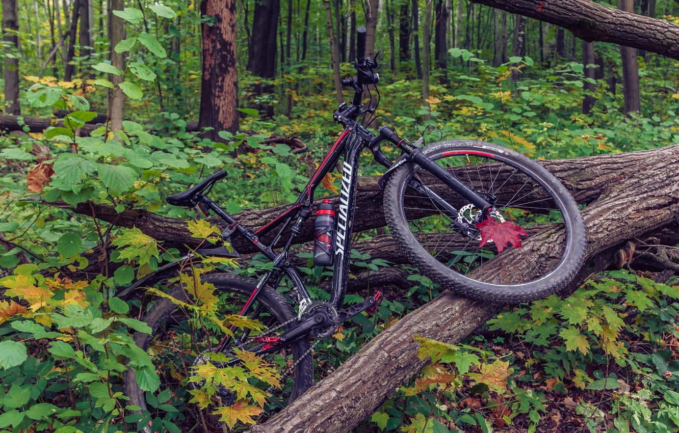 Specialized Mountain Bike Wallpaper