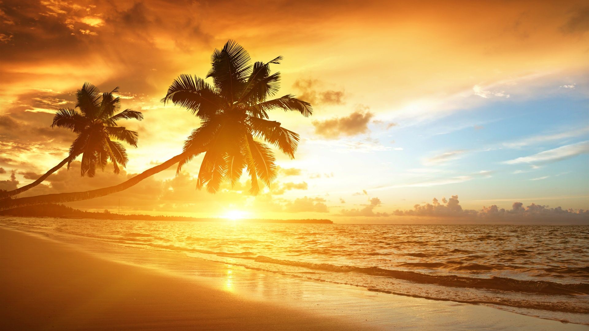 HD Beach Sunrise Beautiful Scenery Wallpaper