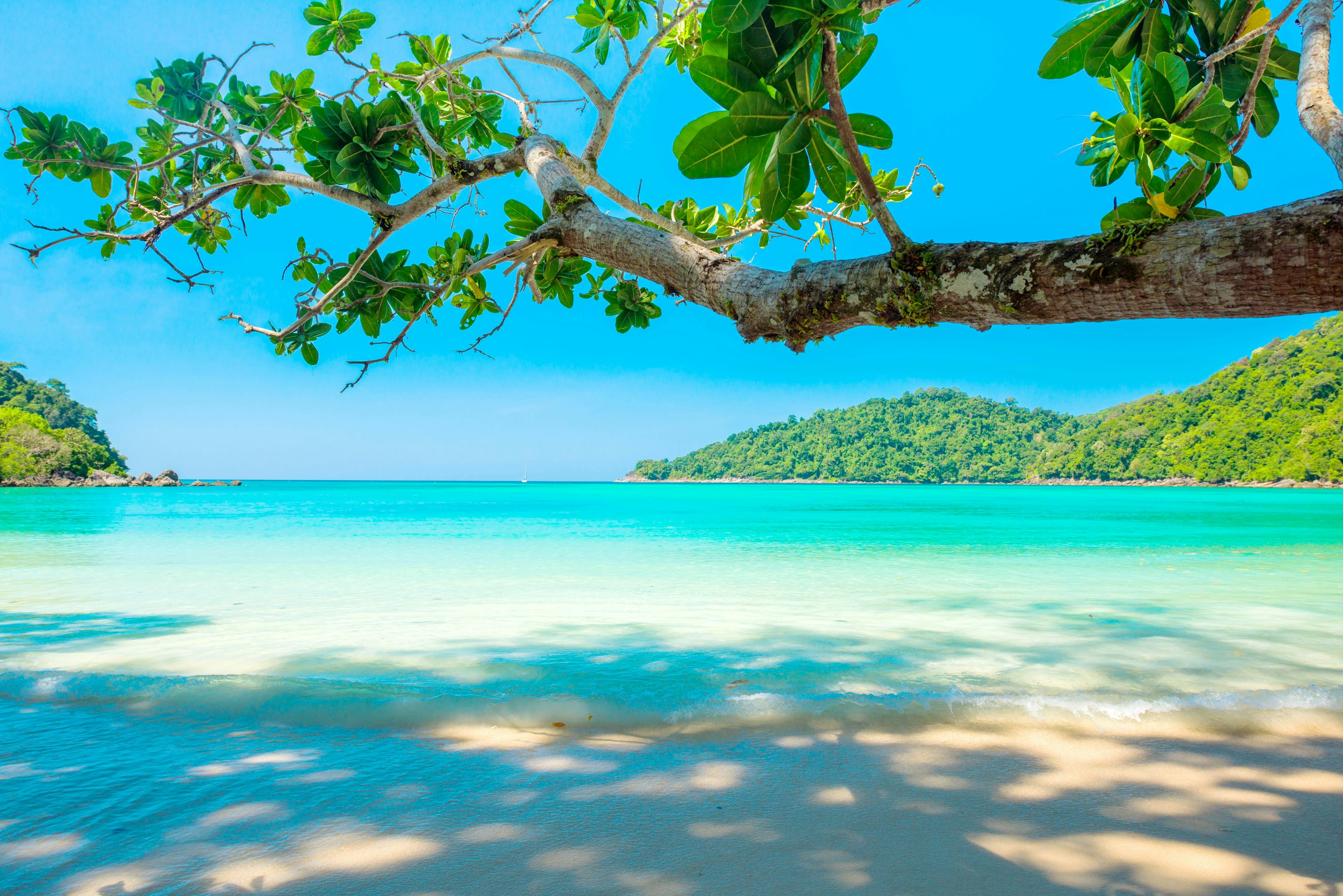 Tropical Beach Picture. Download Free Image