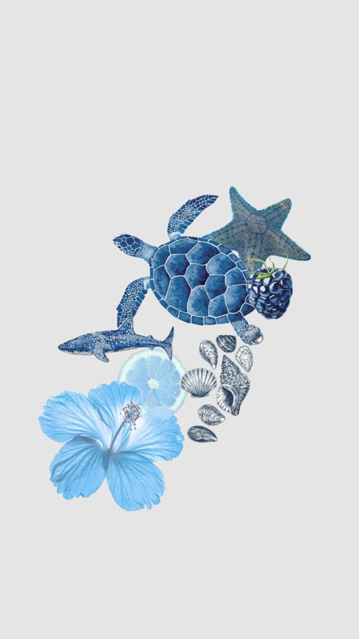 Wallpaper beach #summer #wallpaper #playa