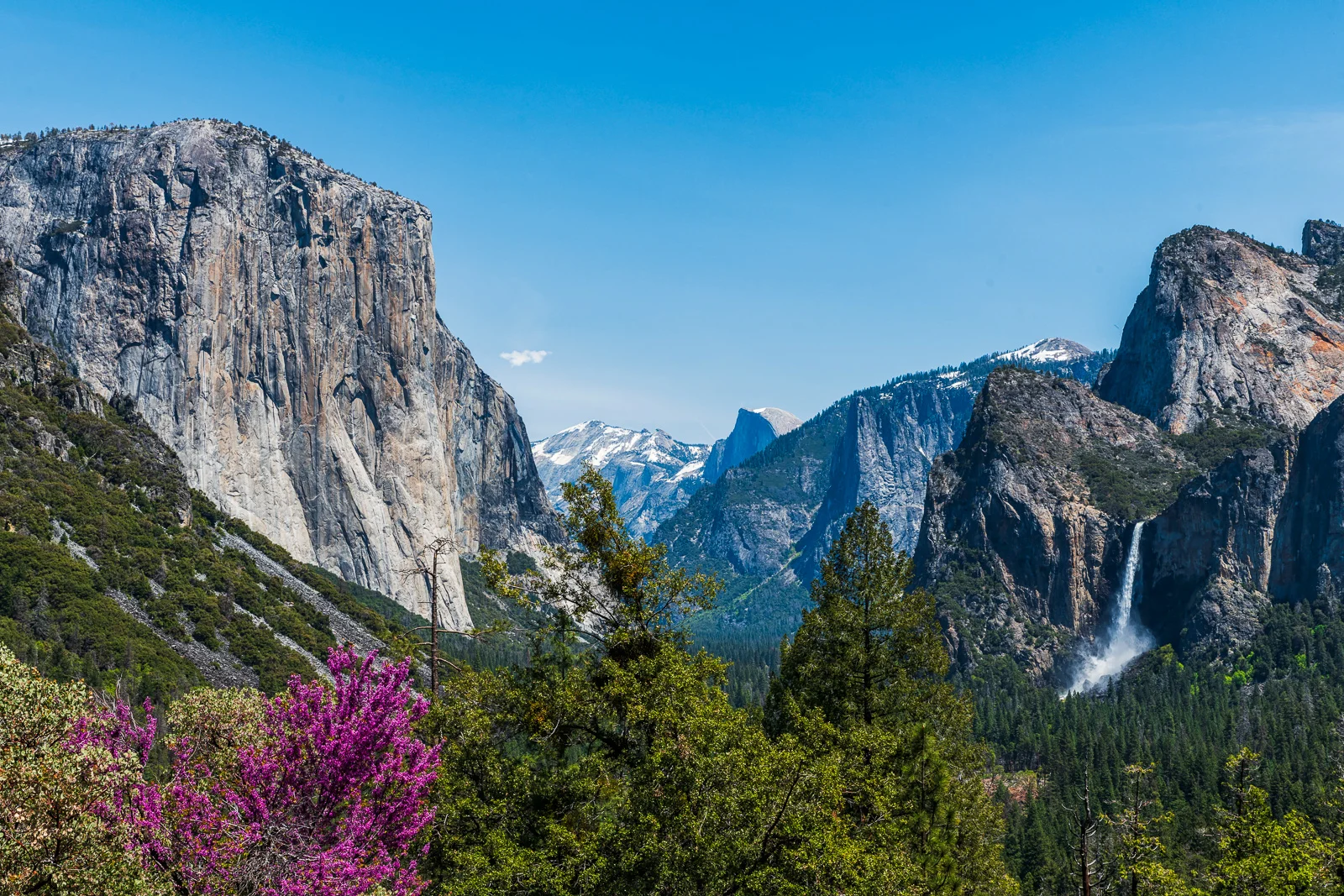 A Spring Day at Yosemite National Park