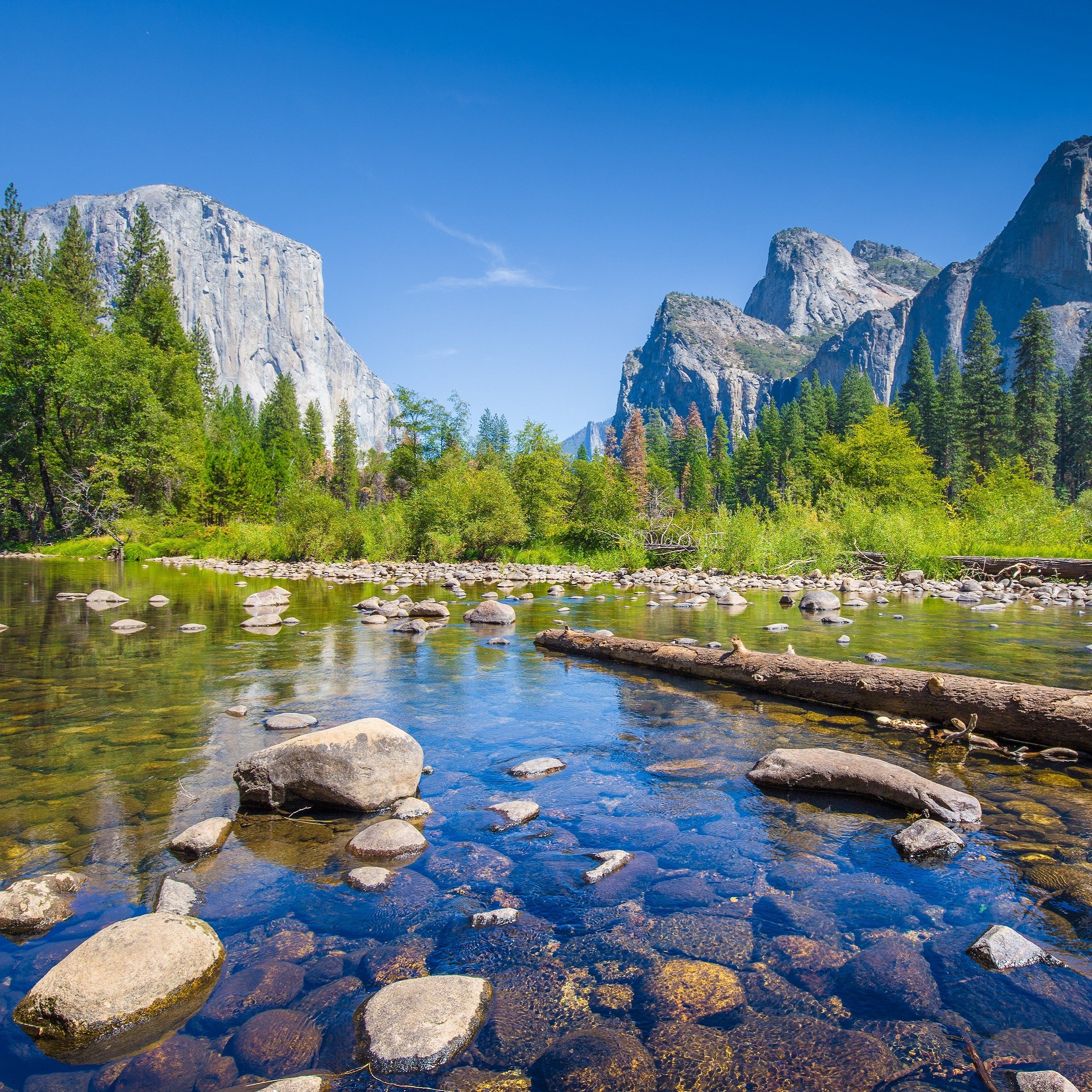 Yosemite Valley in Summer Piece Wooden Jigsaw Puzzle