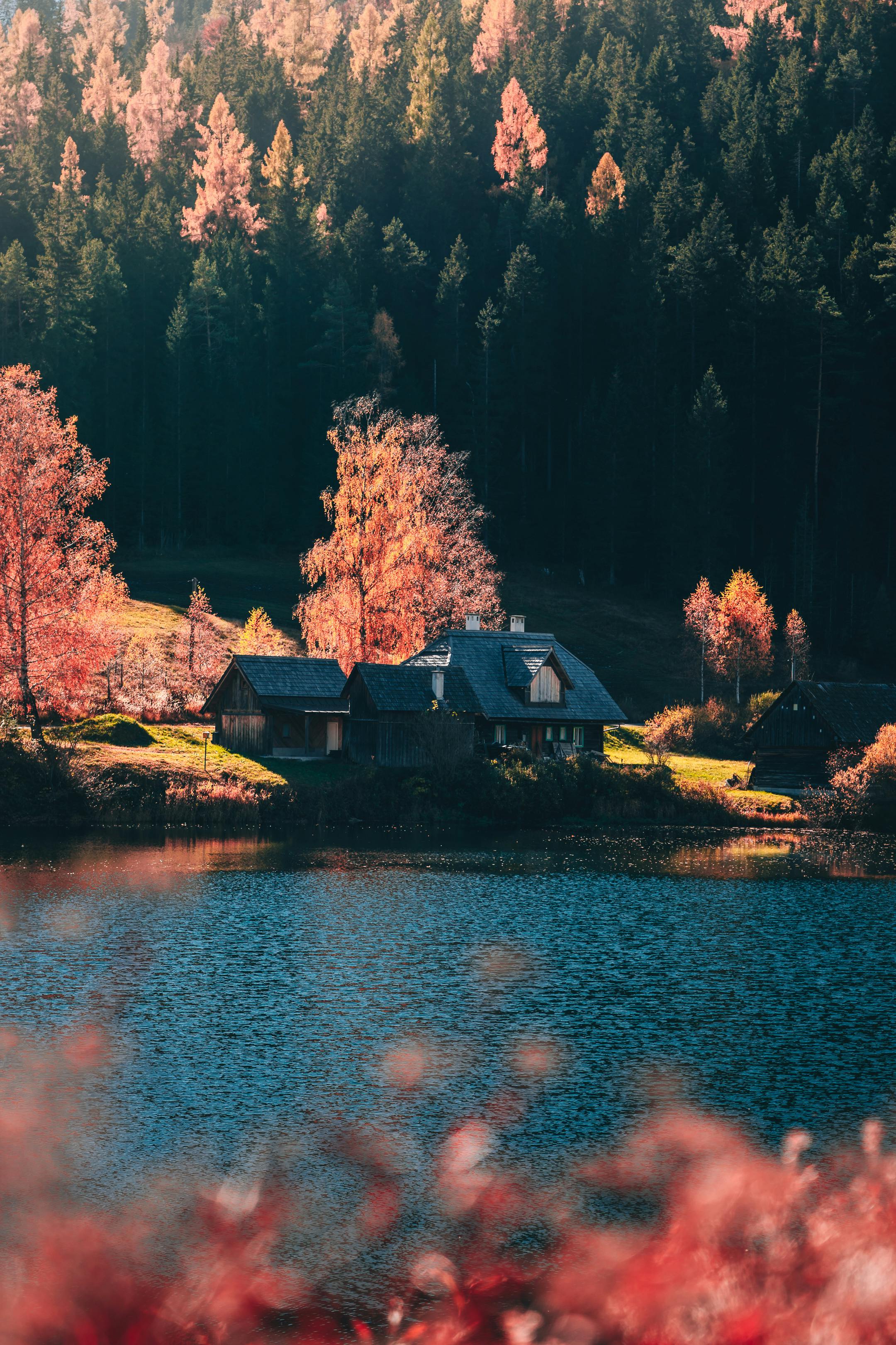 A House by the Lake · Free