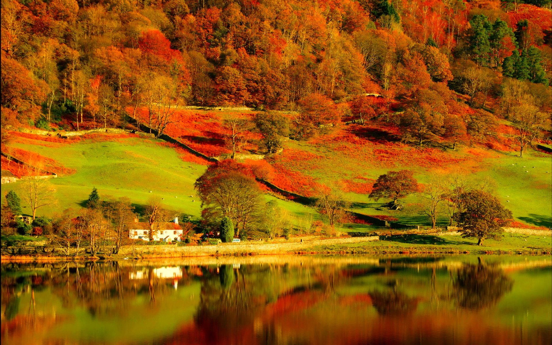 Download Reflection Tree Lake Mountain Fall Man Made House HD Wallpaper