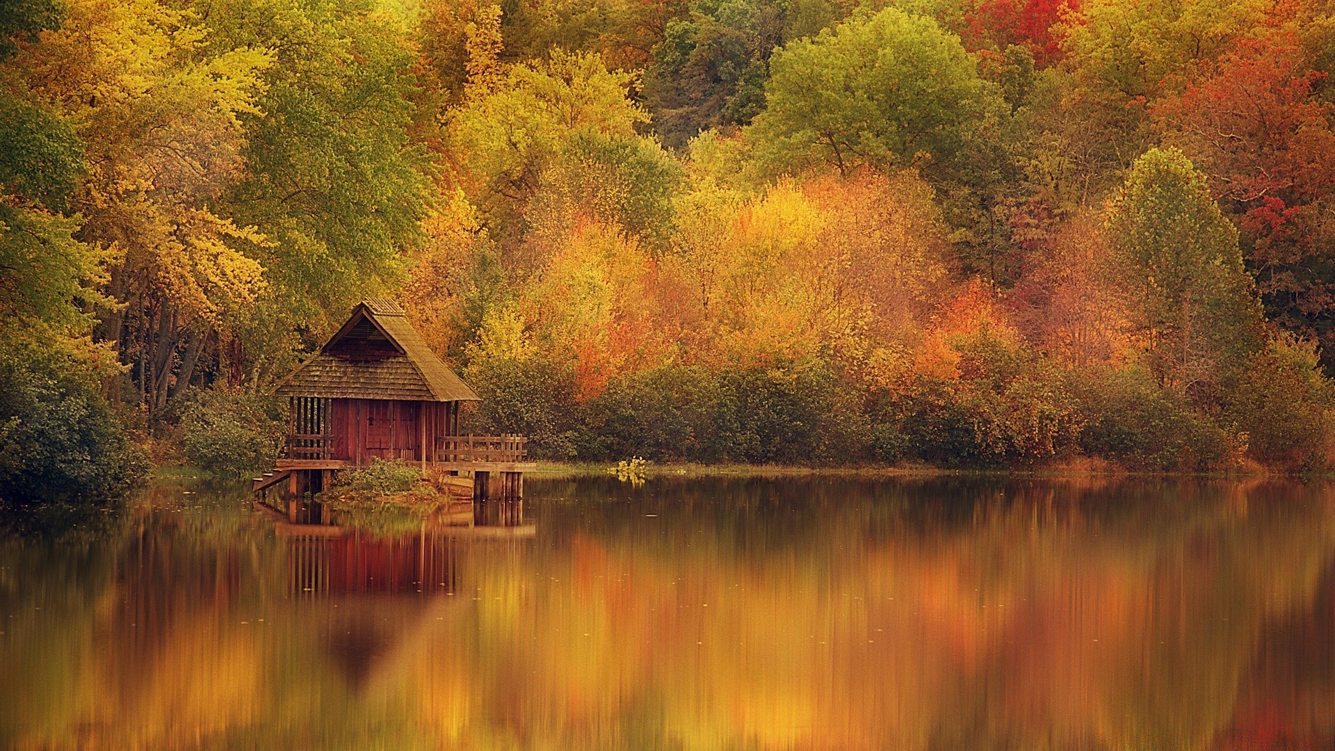 Golden autumn house on the river