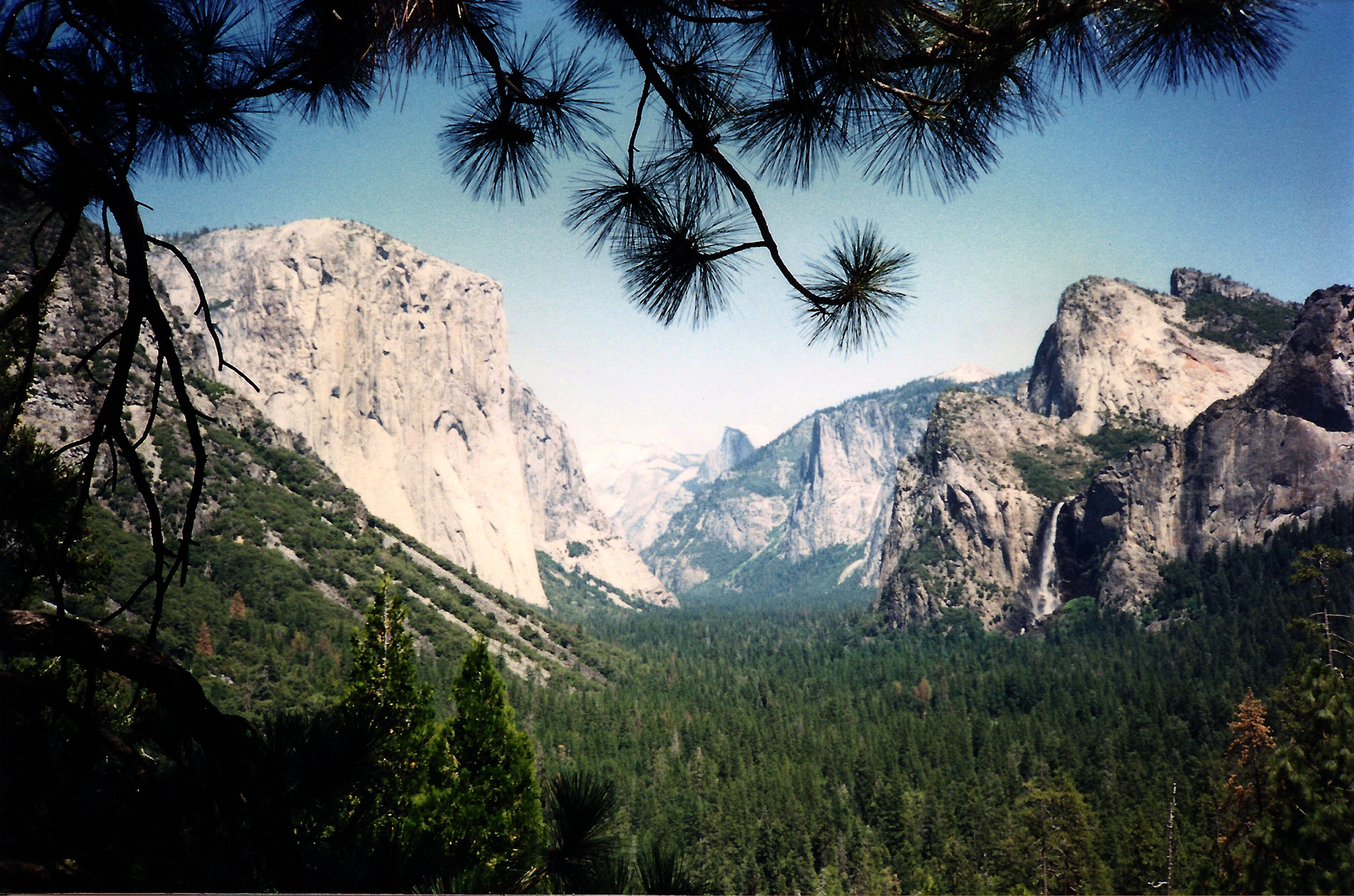 Yosemite National Park