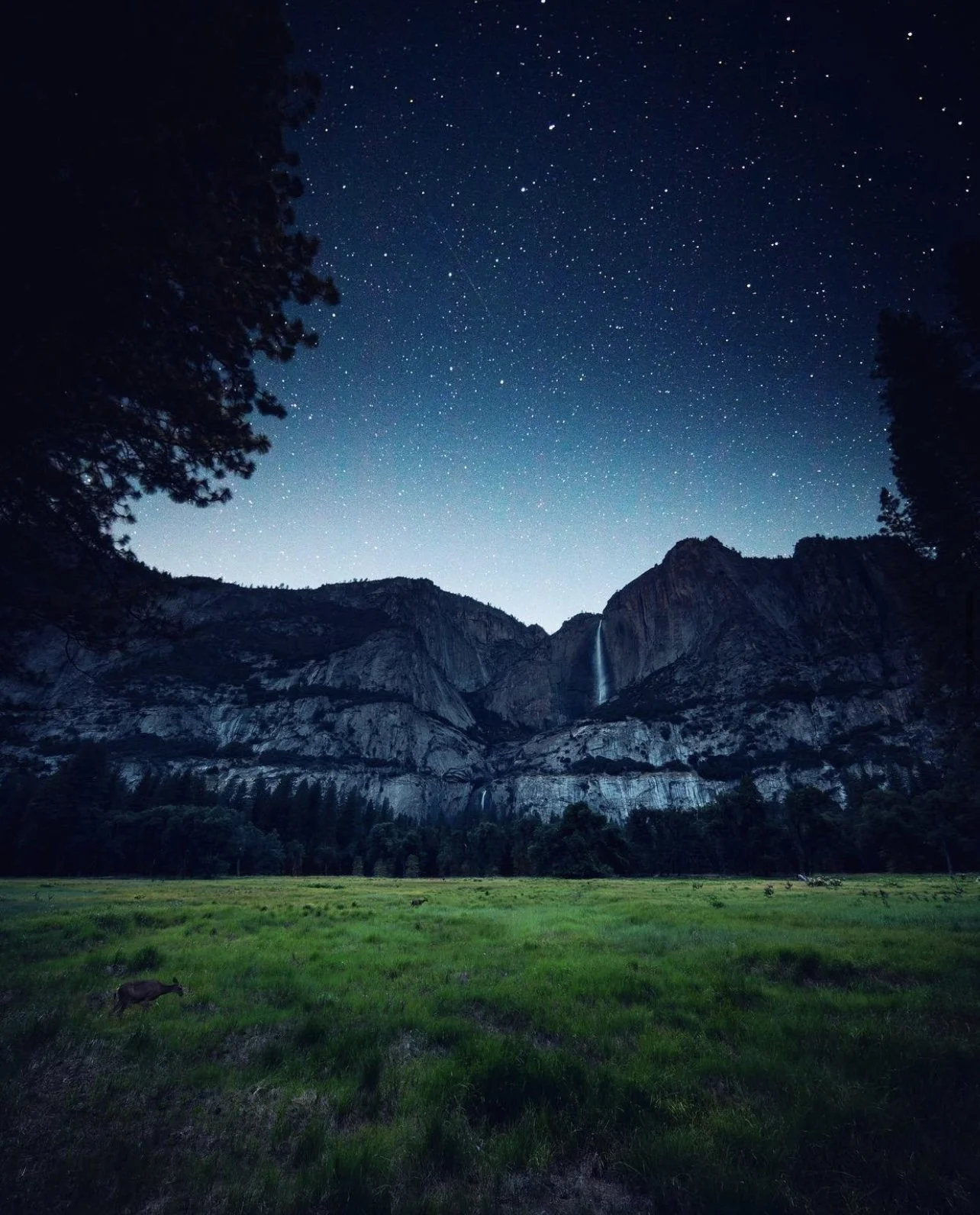 Yosemite Valley & Summer Spots