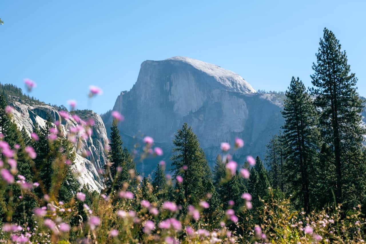 One Amazing Day In Yosemite: Itinerary and Tips You Need To Know