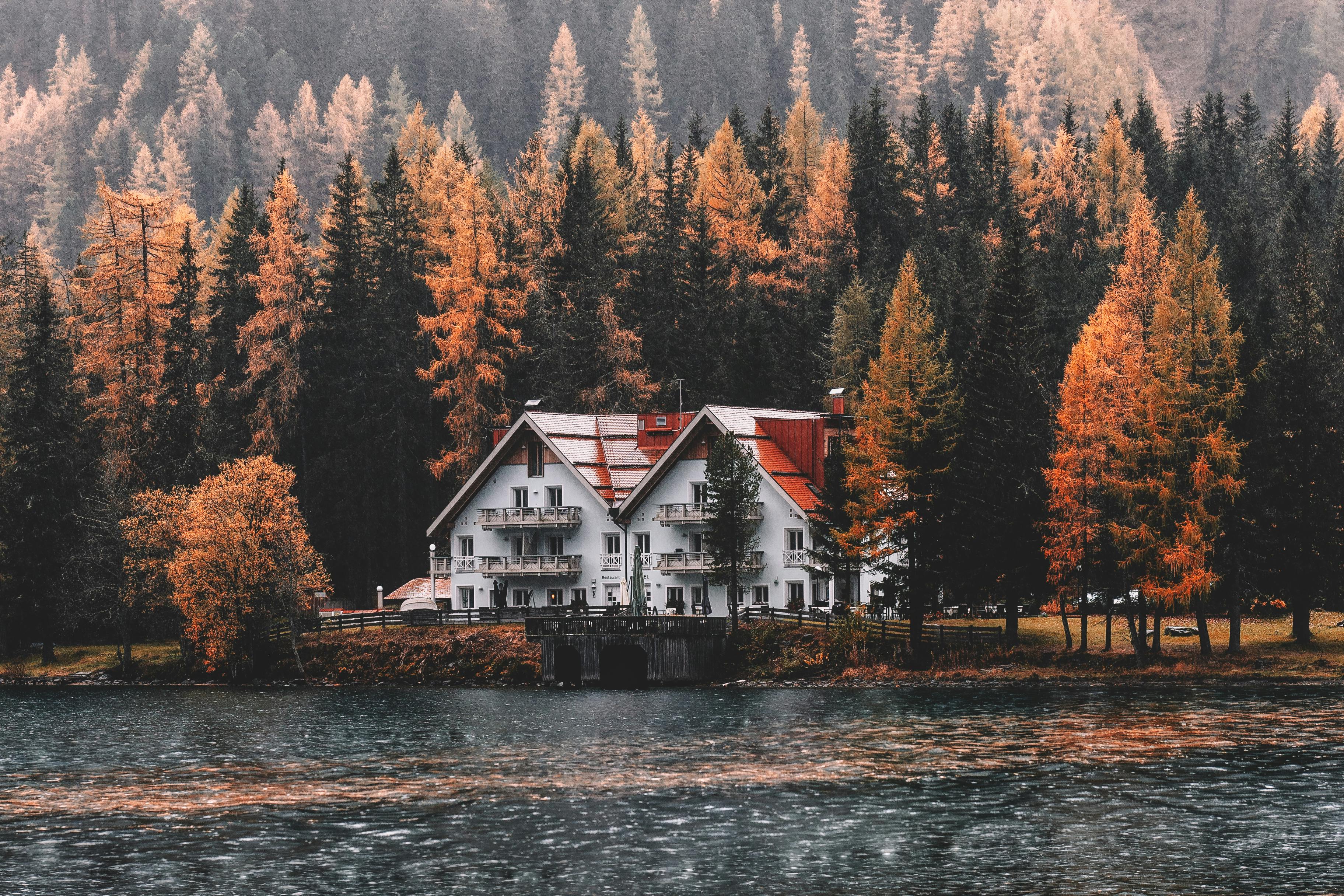 House Near Body of Water and Forest · Free