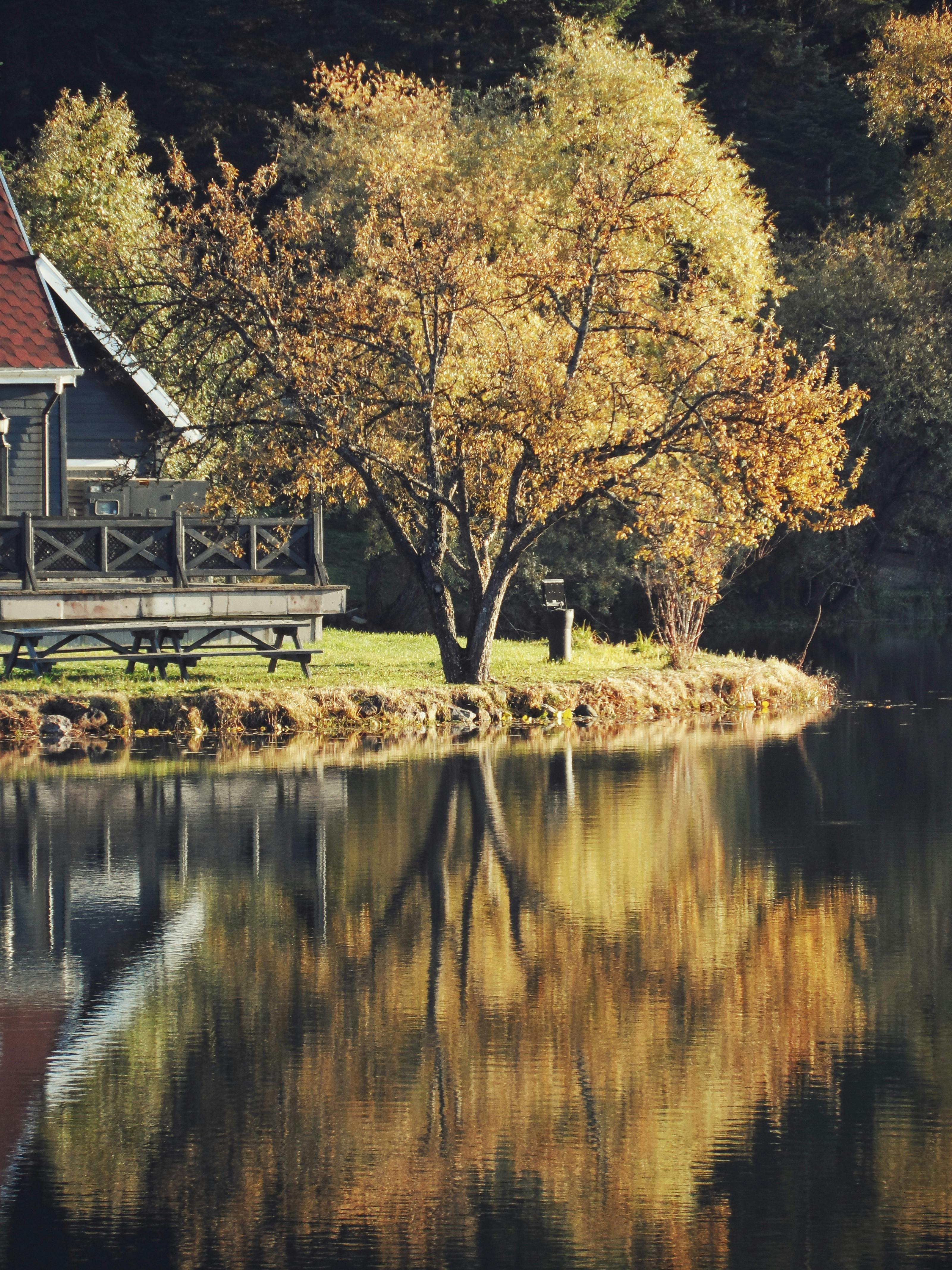 Cabin by Lake in Autumn · Free