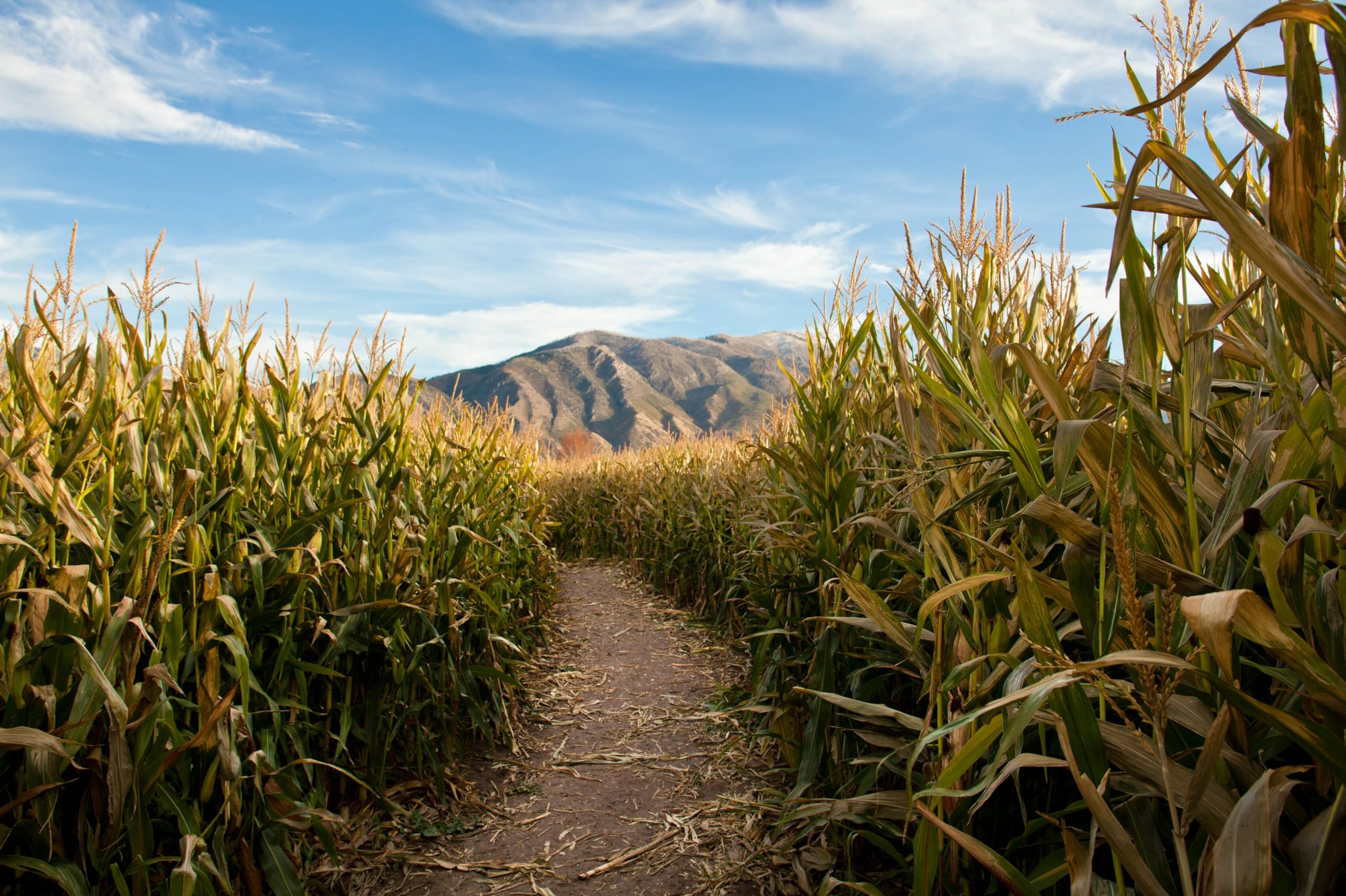 Farmer's Data Tool