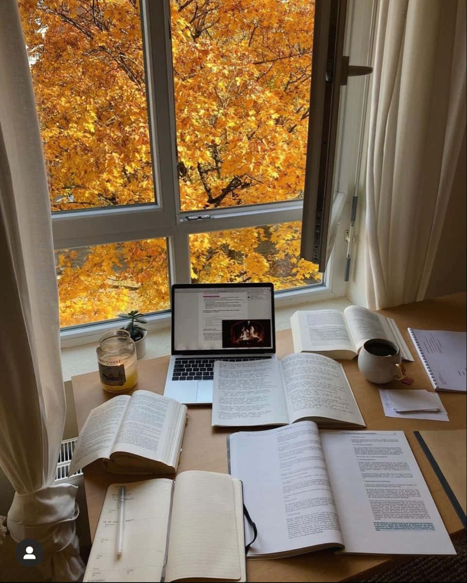Download Autumn Study Sessionwith Window View Wallpaper